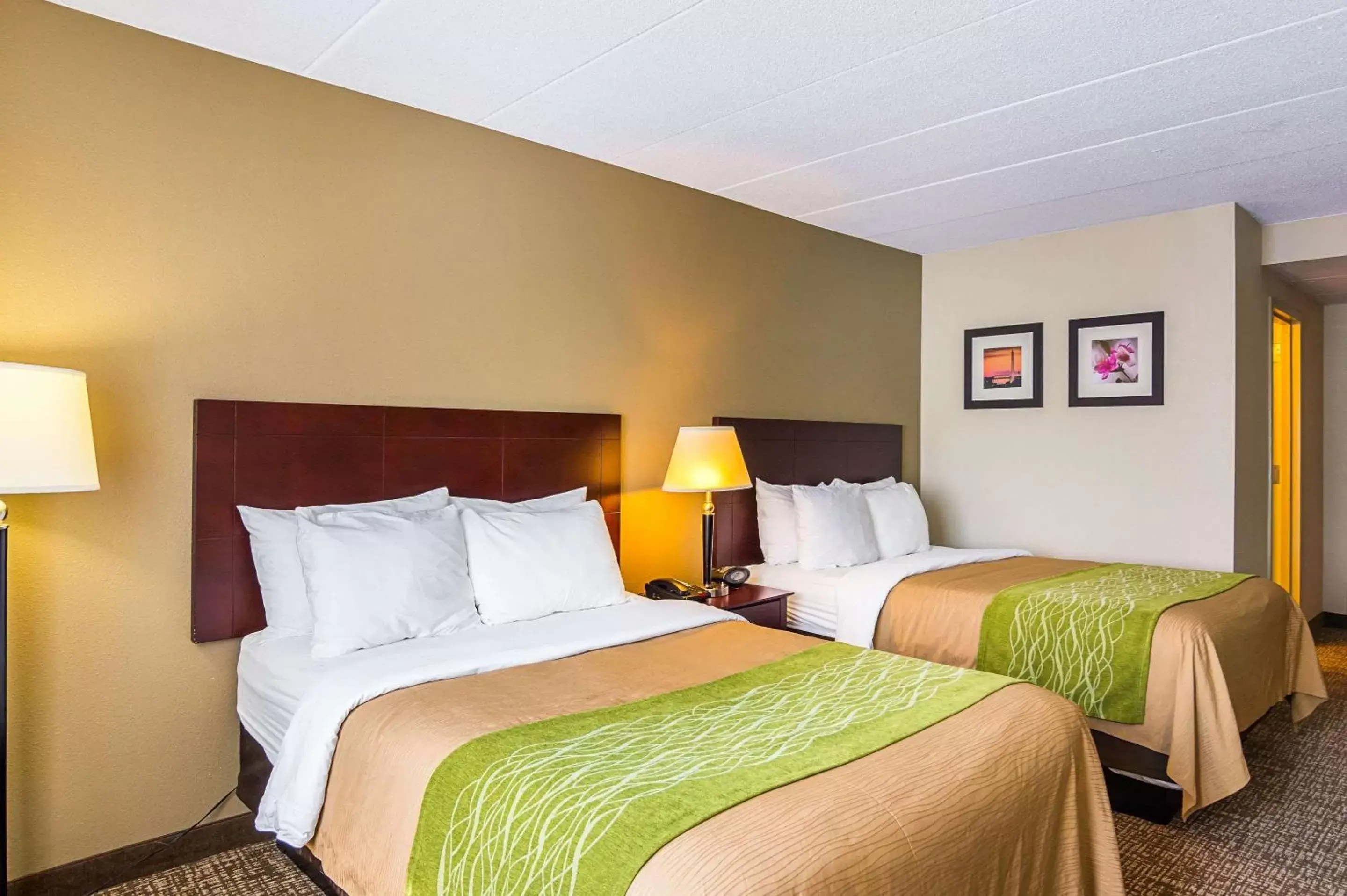 Comfort Inn Herndon-Reston Comfort Inn Herndon-Reston