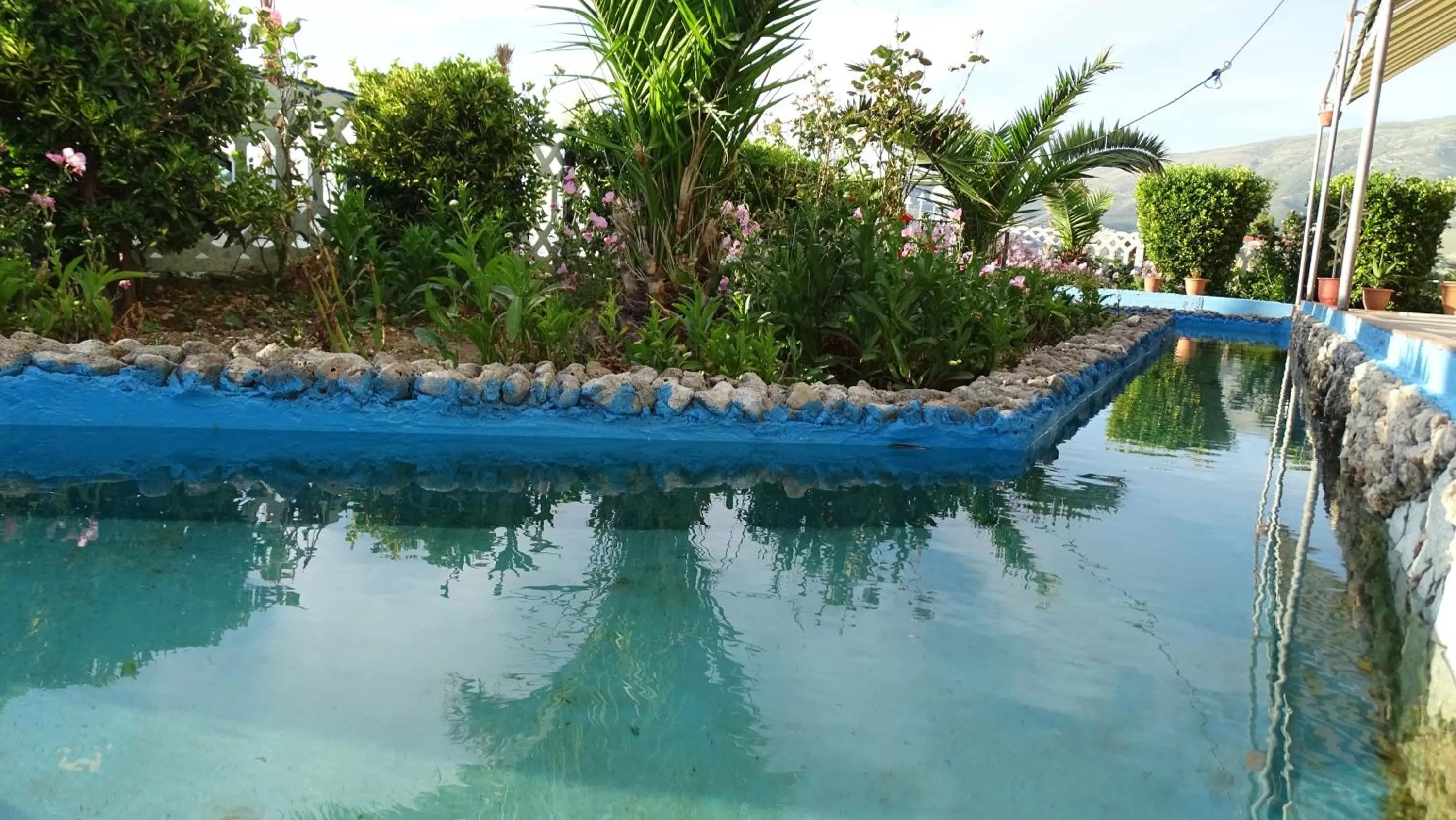 Day, Swimming Pool in Hotel Alba-Gert