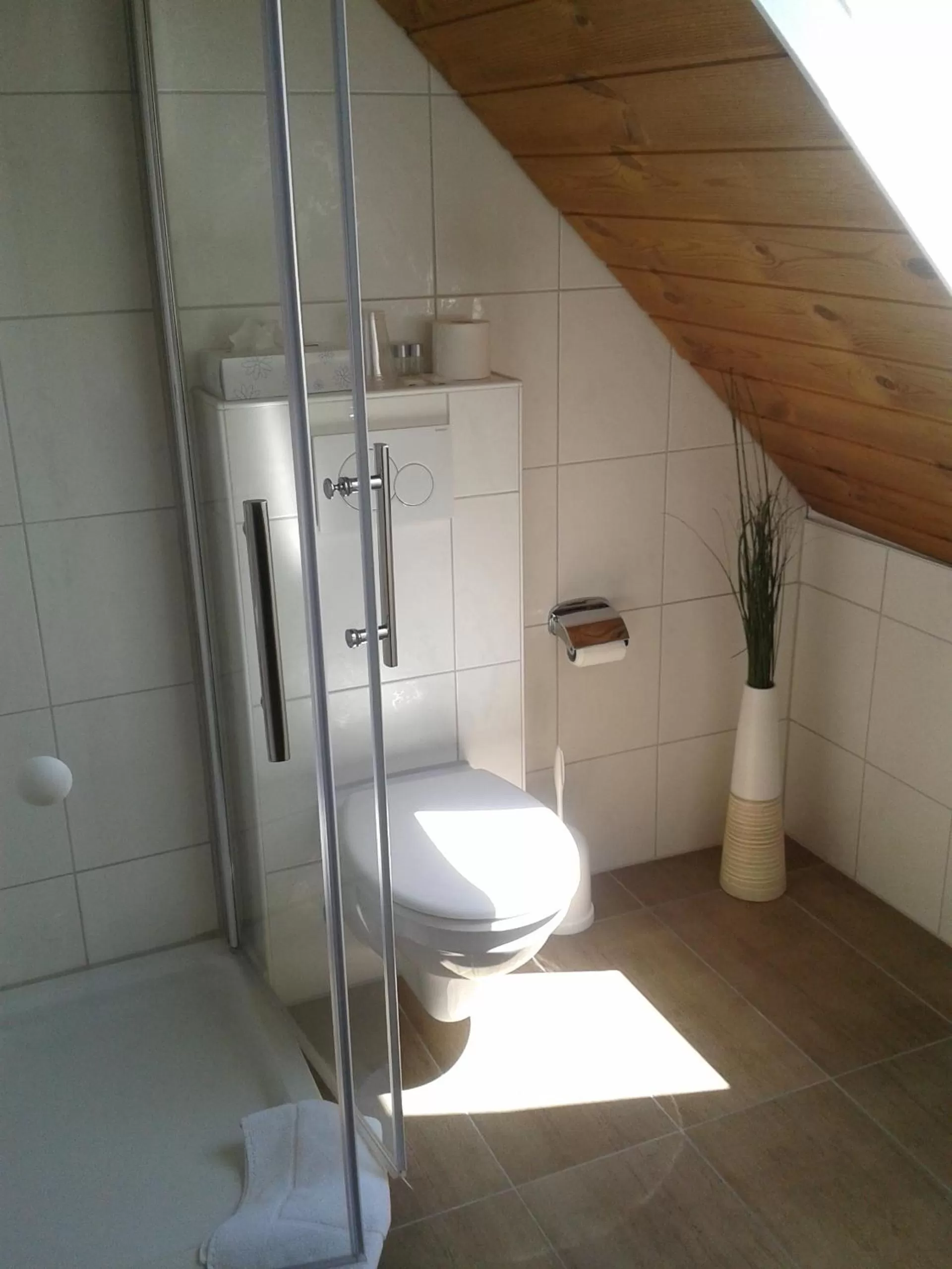 Toilet, Bathroom in Hotel-Restaurant Zur Kanne