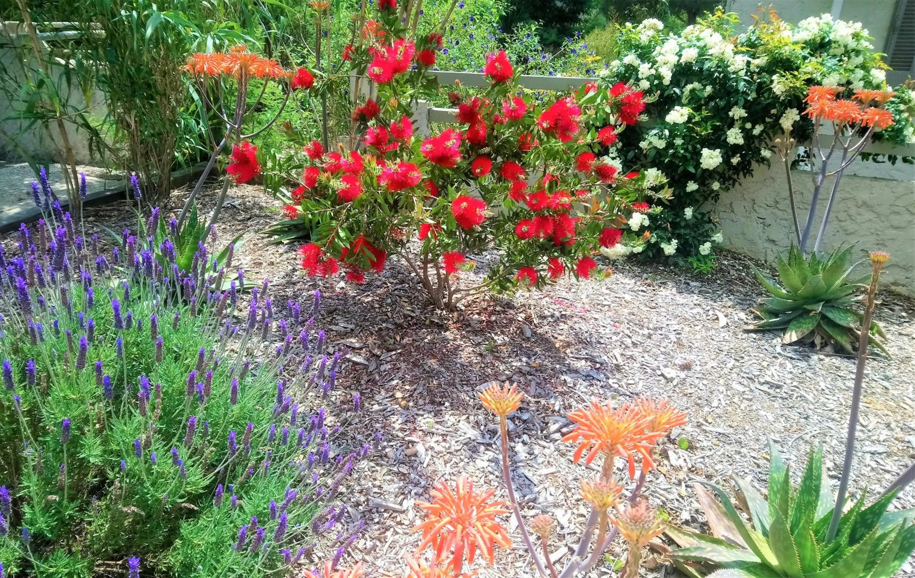 Garden in Les Jardins de Bormes, hôtel adult only avec sauna & jacuzzi