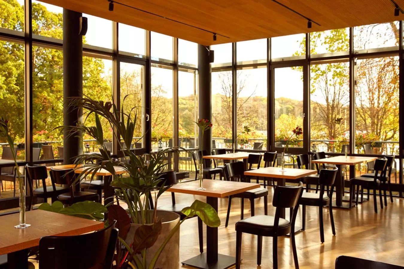 Restaurant/places to eat in Spa Hotel Amsee