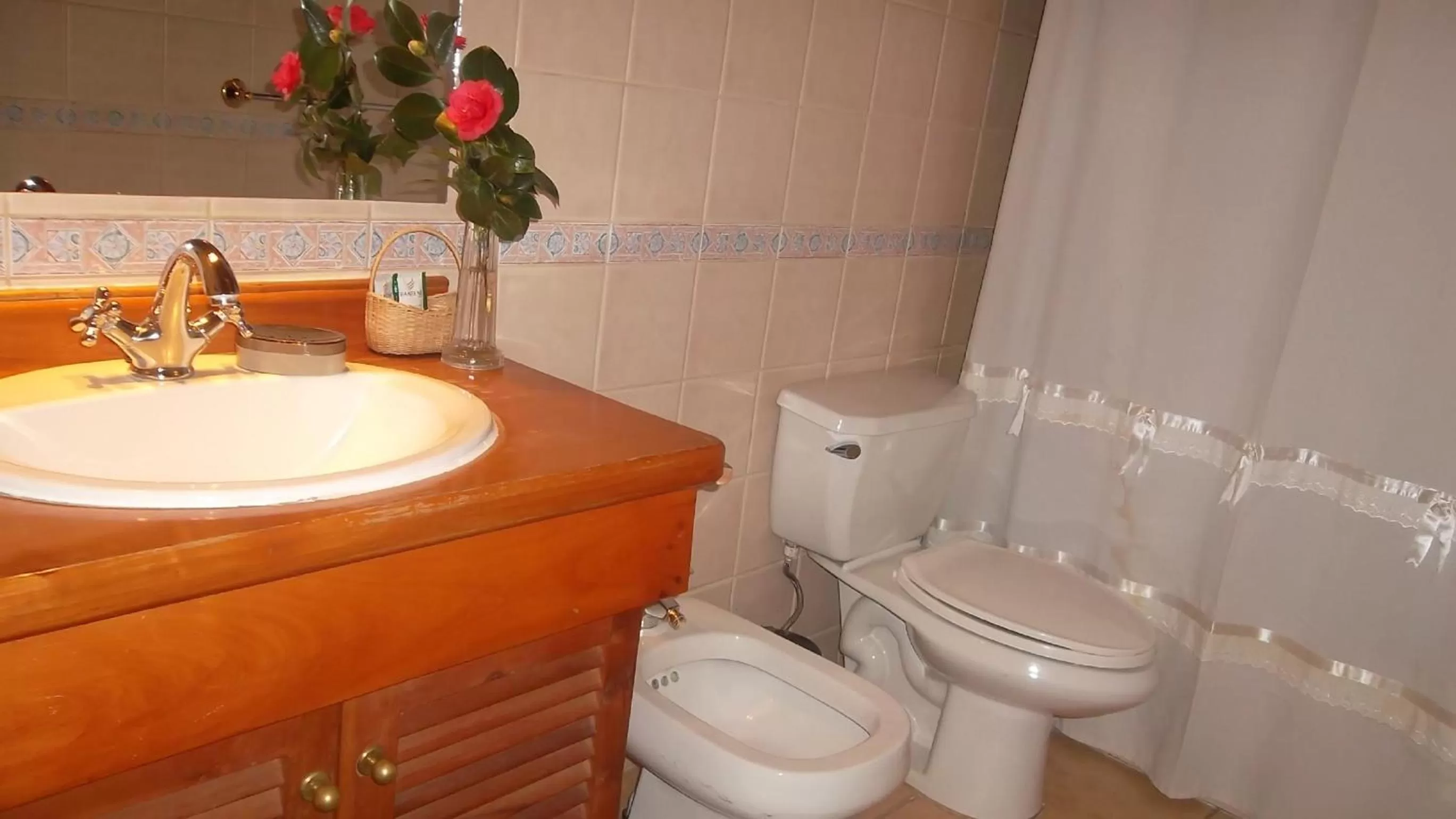 Bathroom in Hotel Malalhue