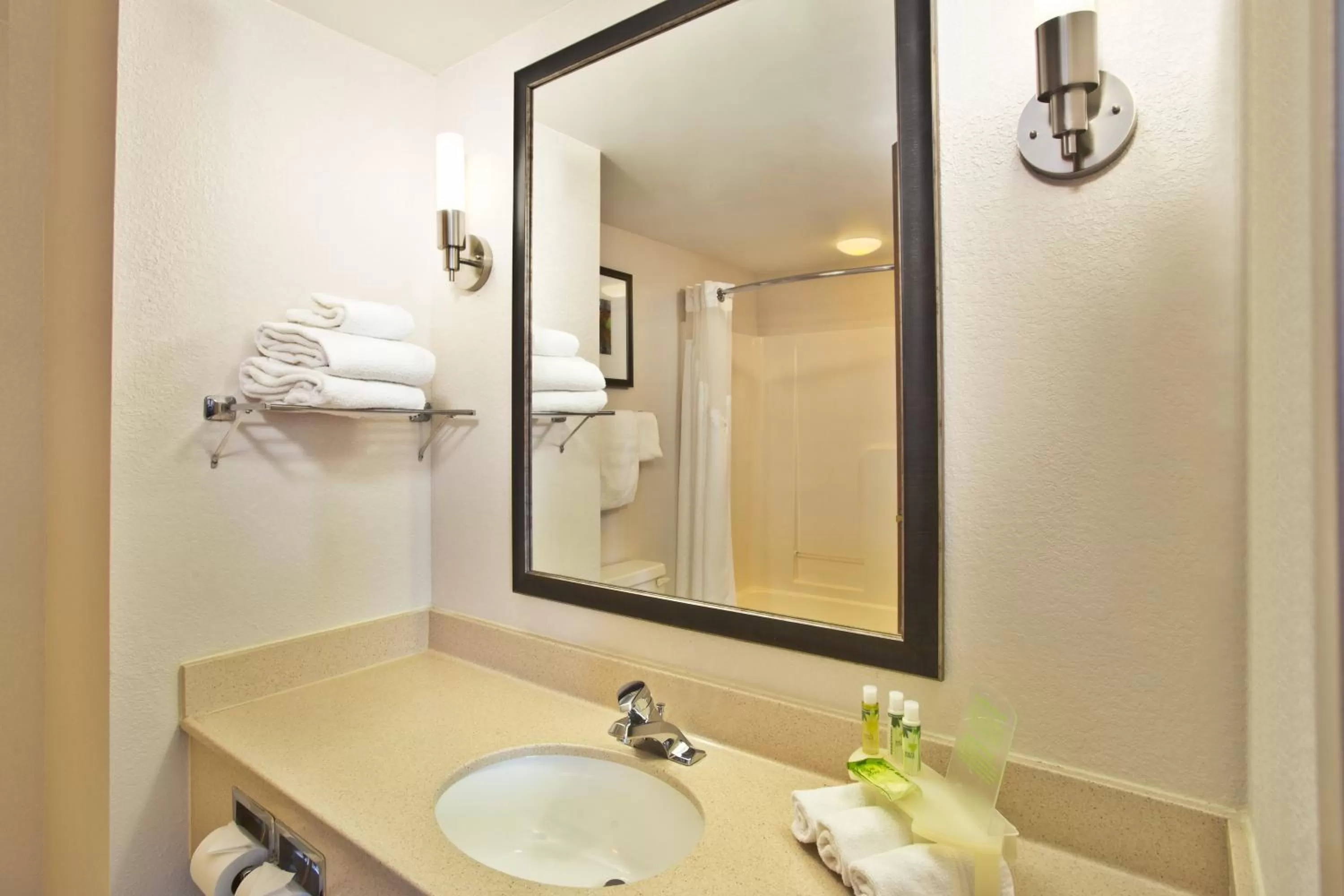 Bathroom in Holiday Inn Express Hotel and Suites Harrington - Dover Area by IHG