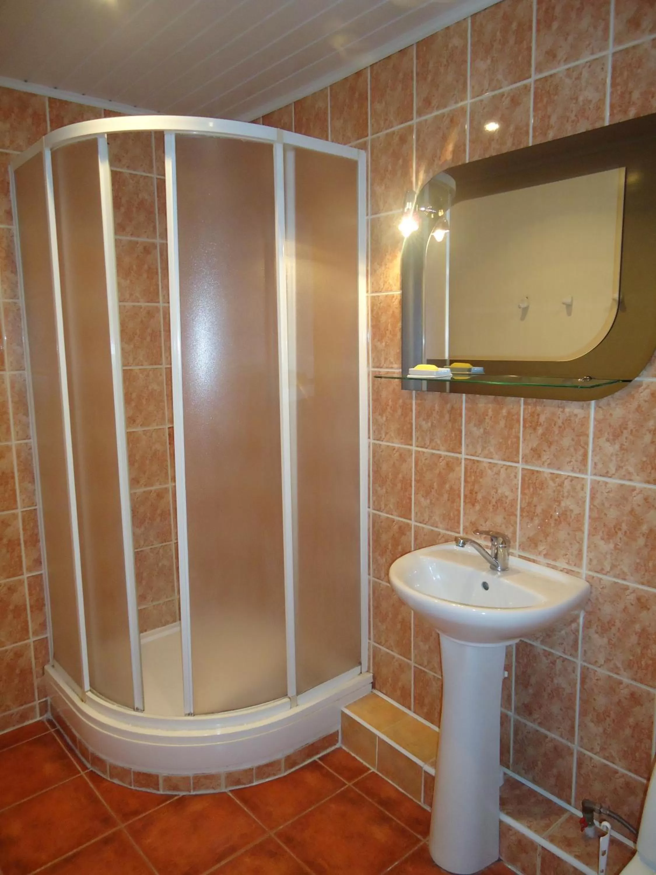 Bathroom in Dzukija Hotel