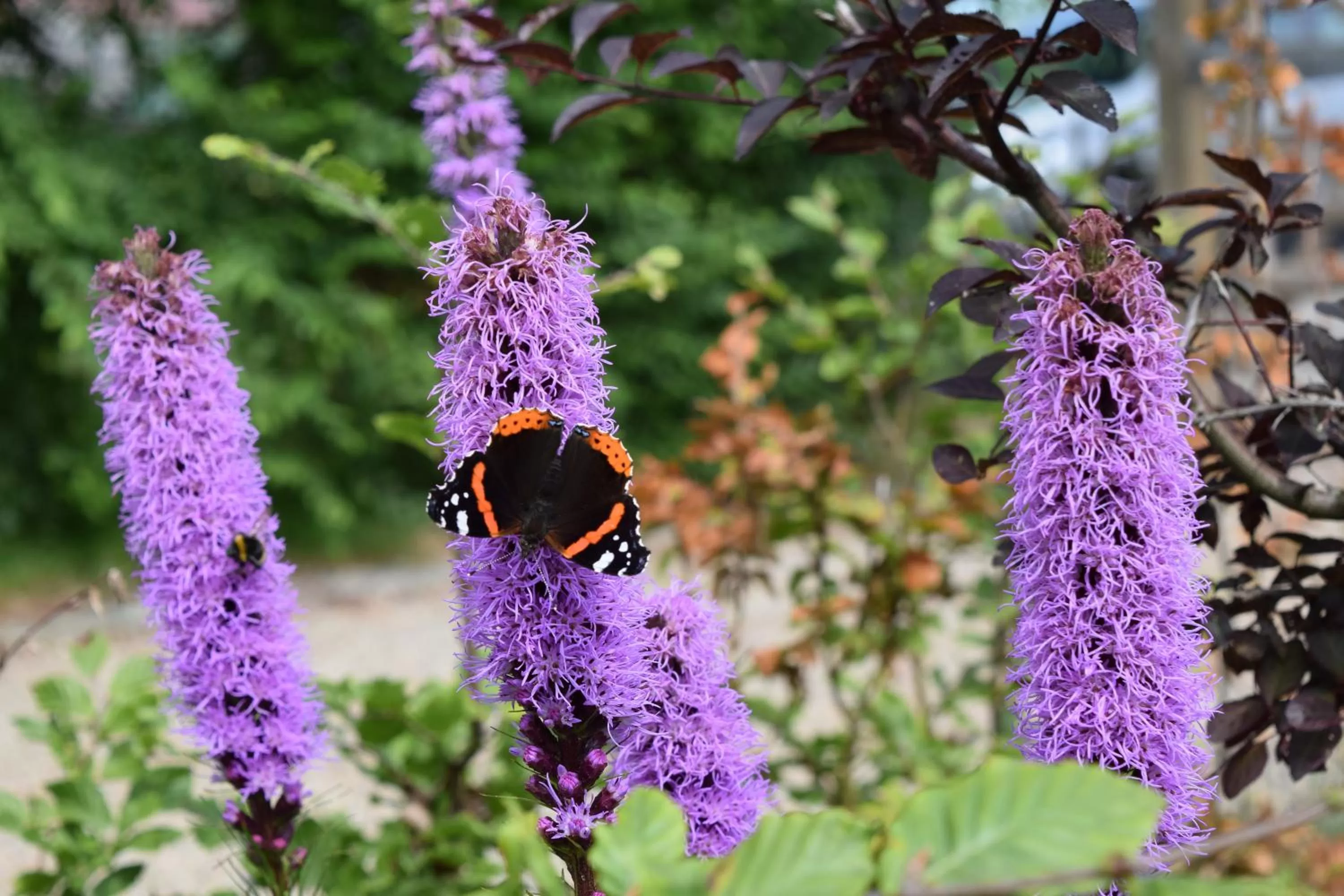 Natural landscape in B&B De Vossenbarm