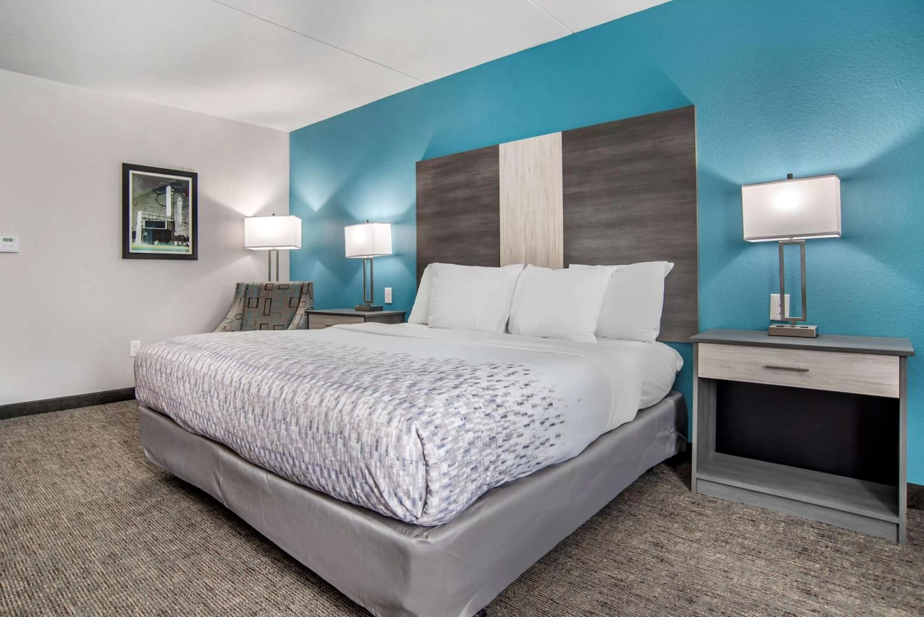 King Room with Mobility Accessible Roll-In Shower in Best Western Brewton Inn