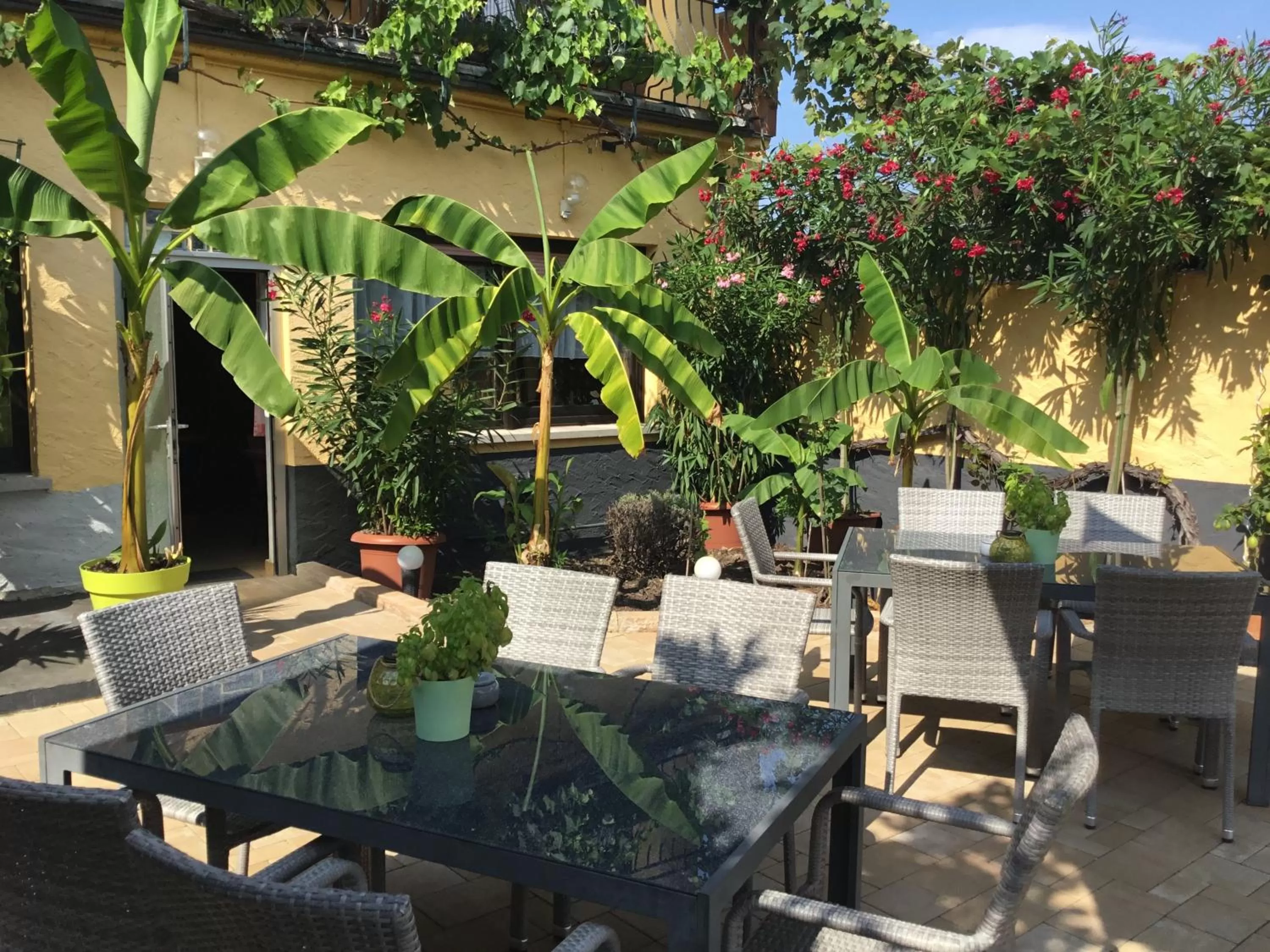 Restaurant/Places to Eat in Bed and Breakfast - Rheingauer Hof