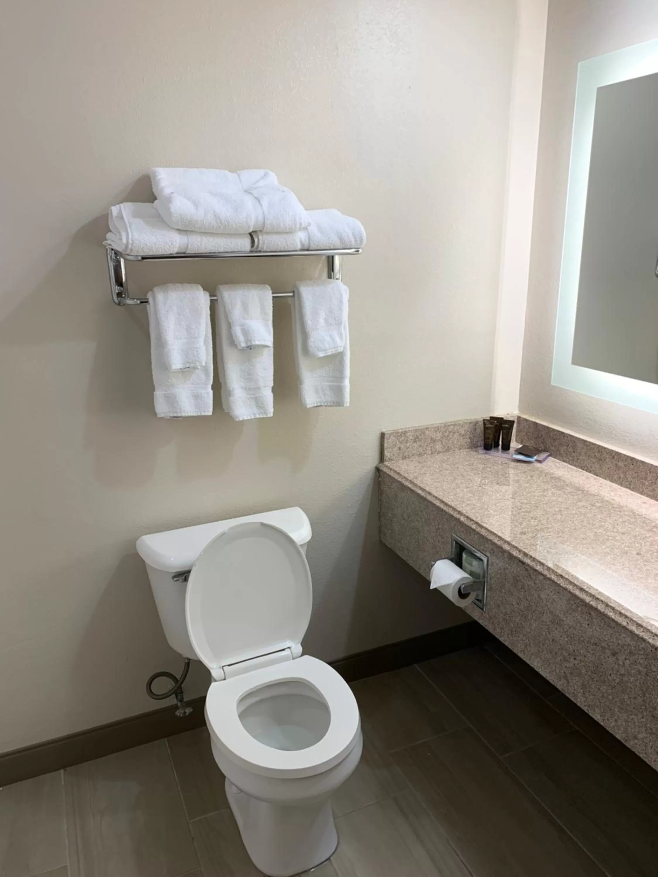 Bathroom in Wingate by Wyndham Brighton