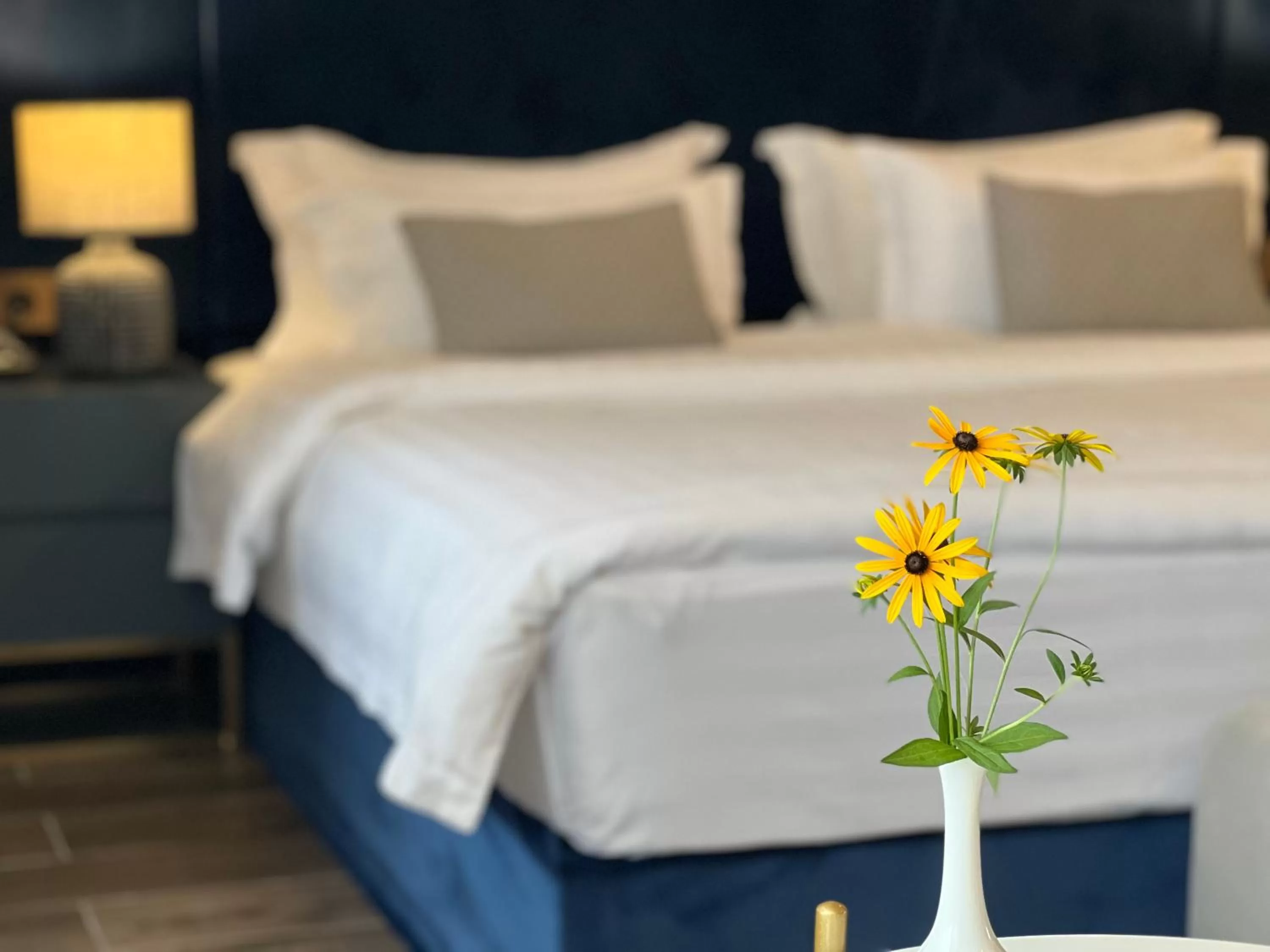 Photo of the whole room, Bed in Hotel Aisi