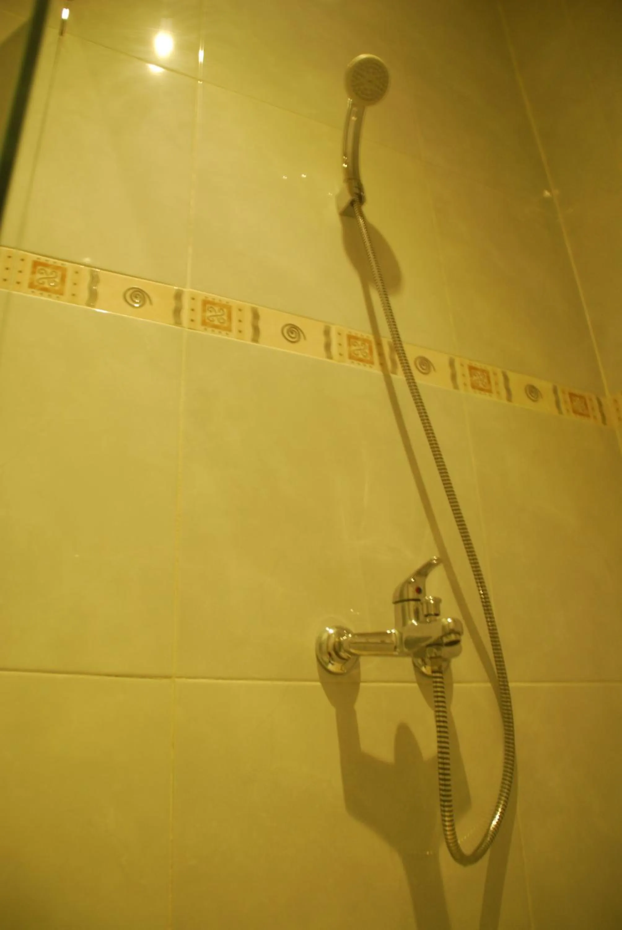 Shower in Sugiras Living