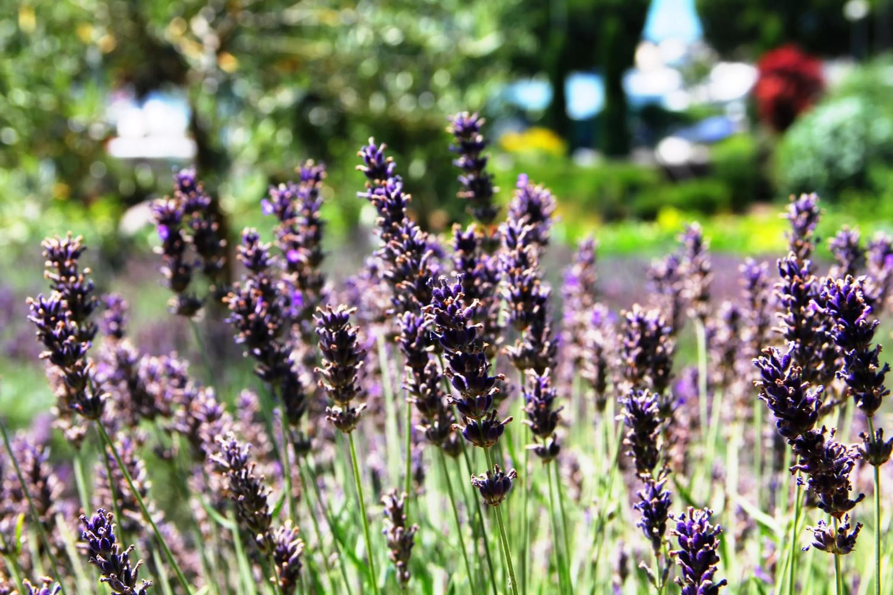 Day in Hôtel Bon Rivage