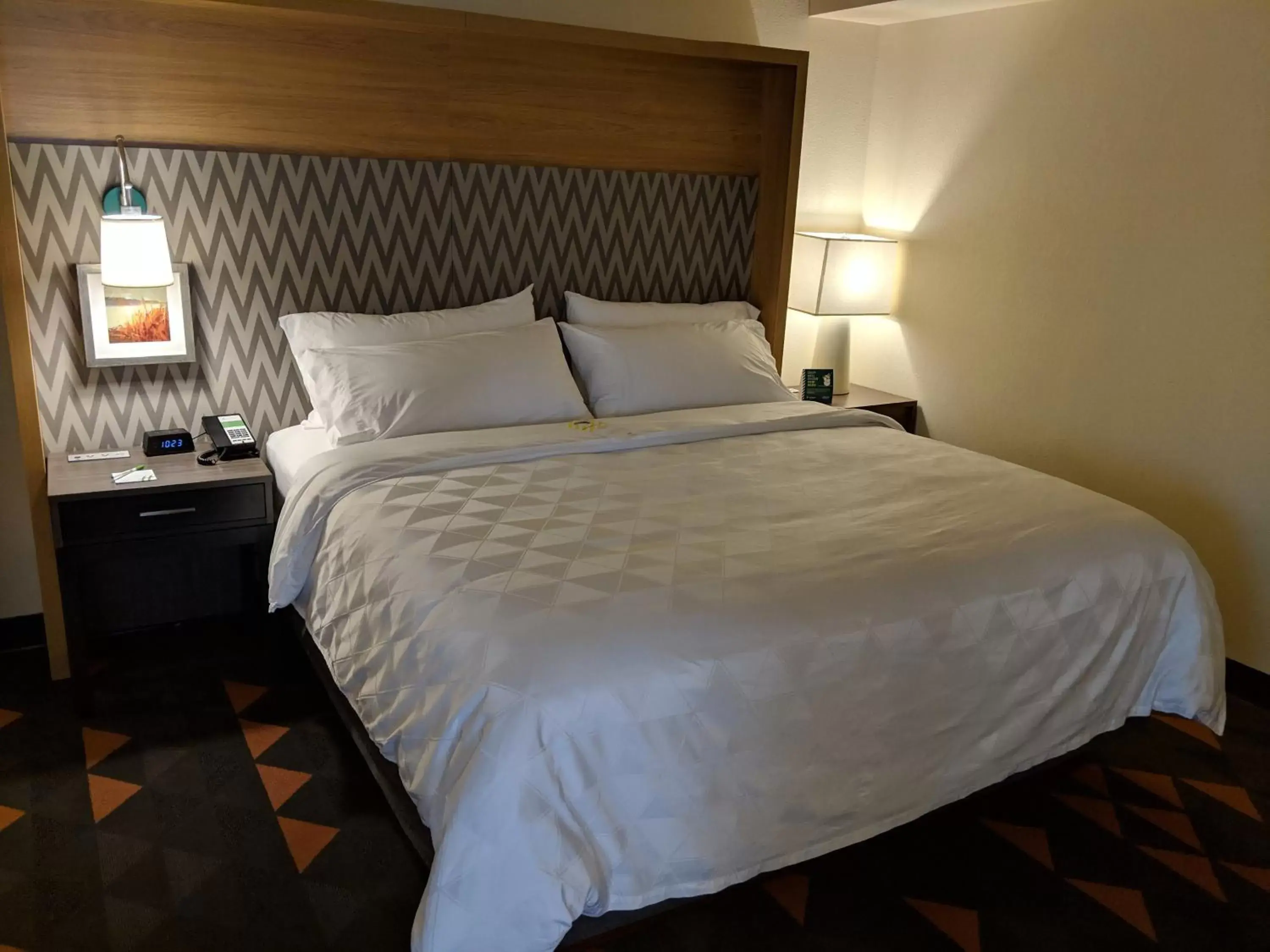 One-Bedroom Suite in Holiday Inn Champaign by IHG One-Bedroom Suite in Holiday Inn Champaign by IHG