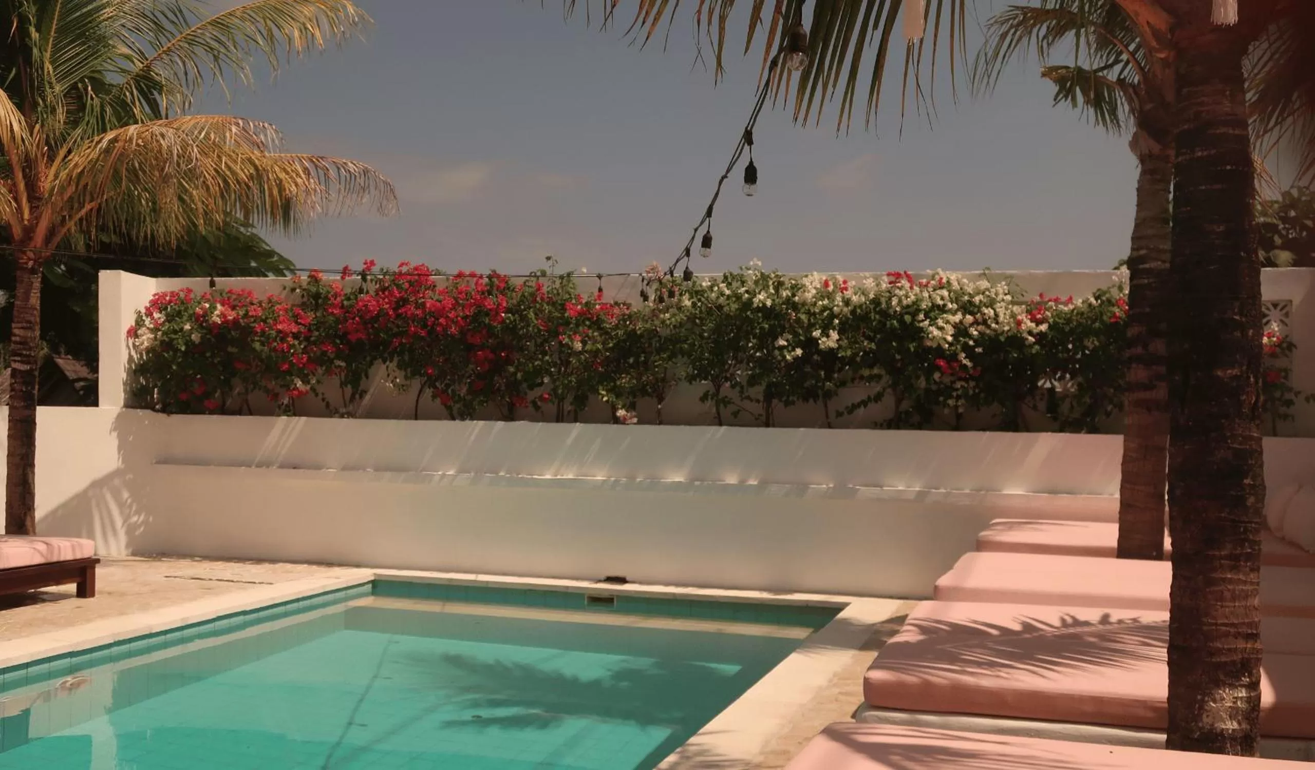 Garden in The Shacks at Sandy Bay