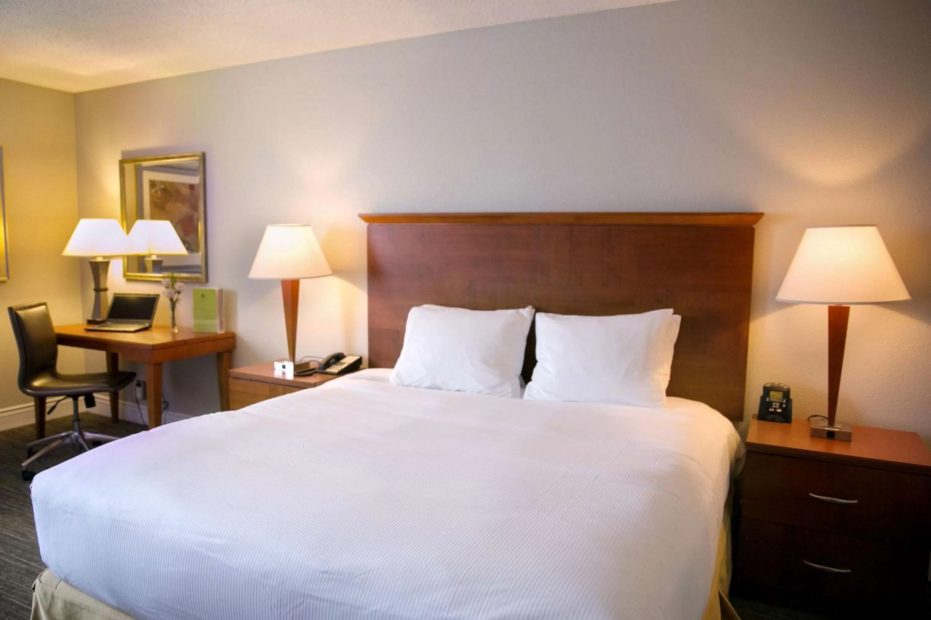 King Room with Roll-in Shower - Disability Access/Non-Smoking in DoubleTree by Hilton Minneapolis Park Place