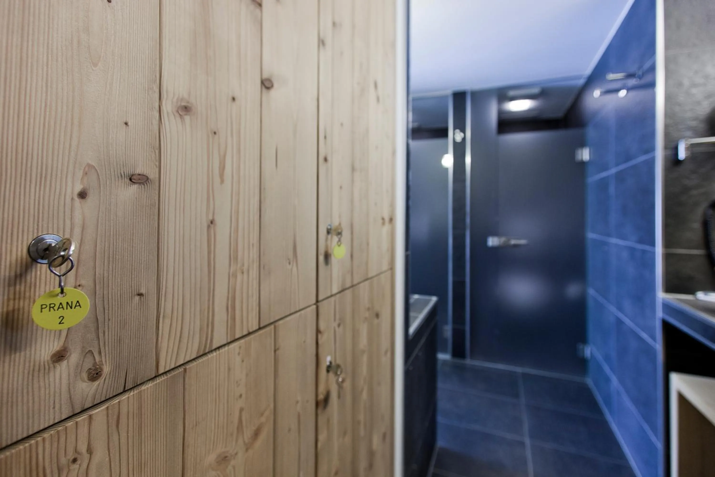 Spa and wellness centre/facilities in FidazerHof