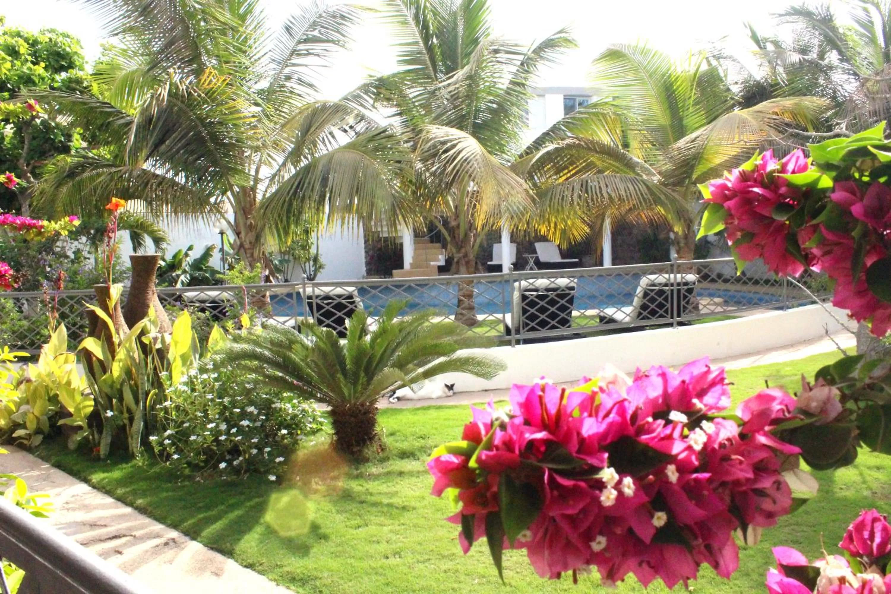 Garden, Swimming Pool in La Résidence