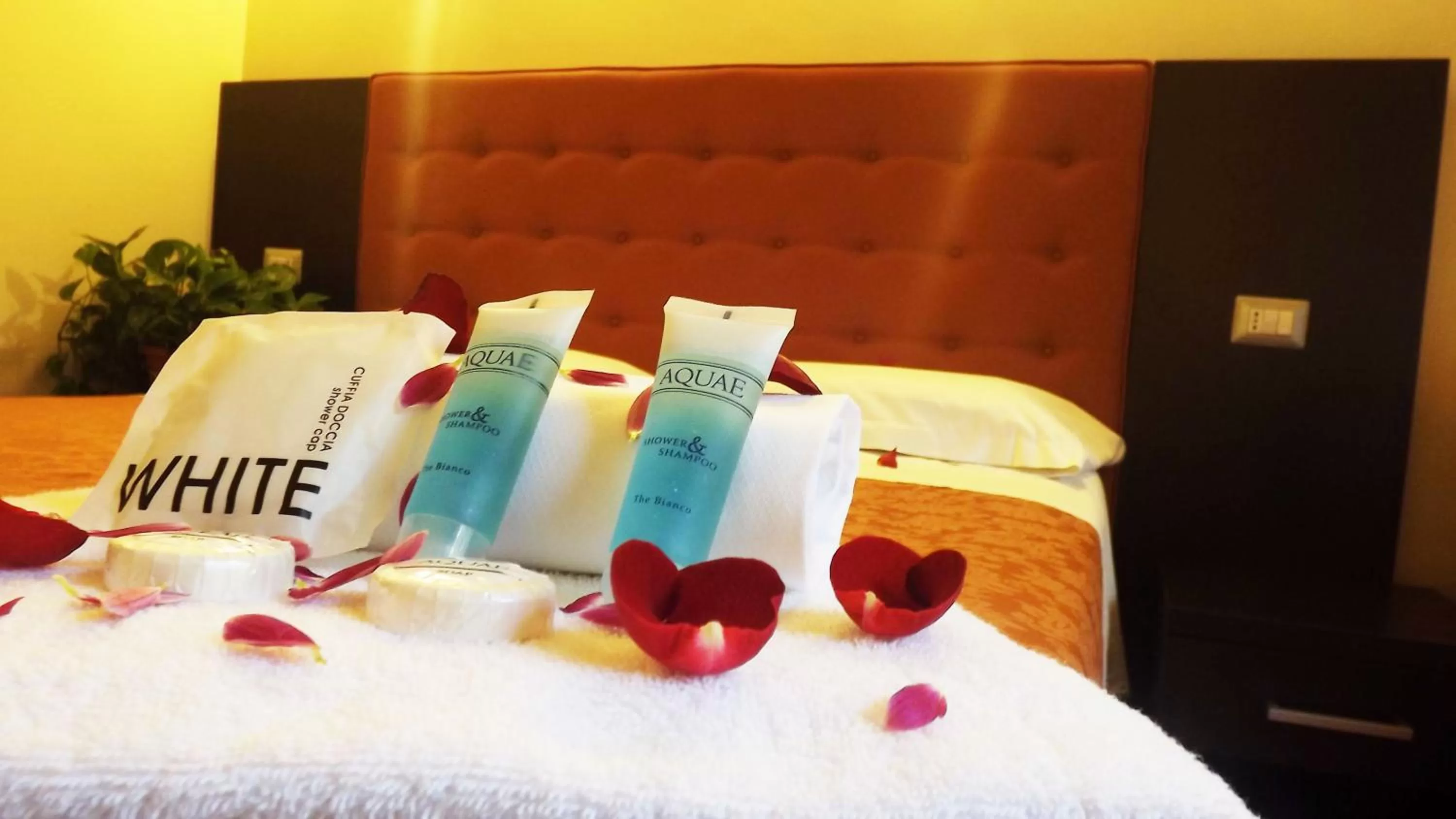 Other, Bed in Hotel Nautilus