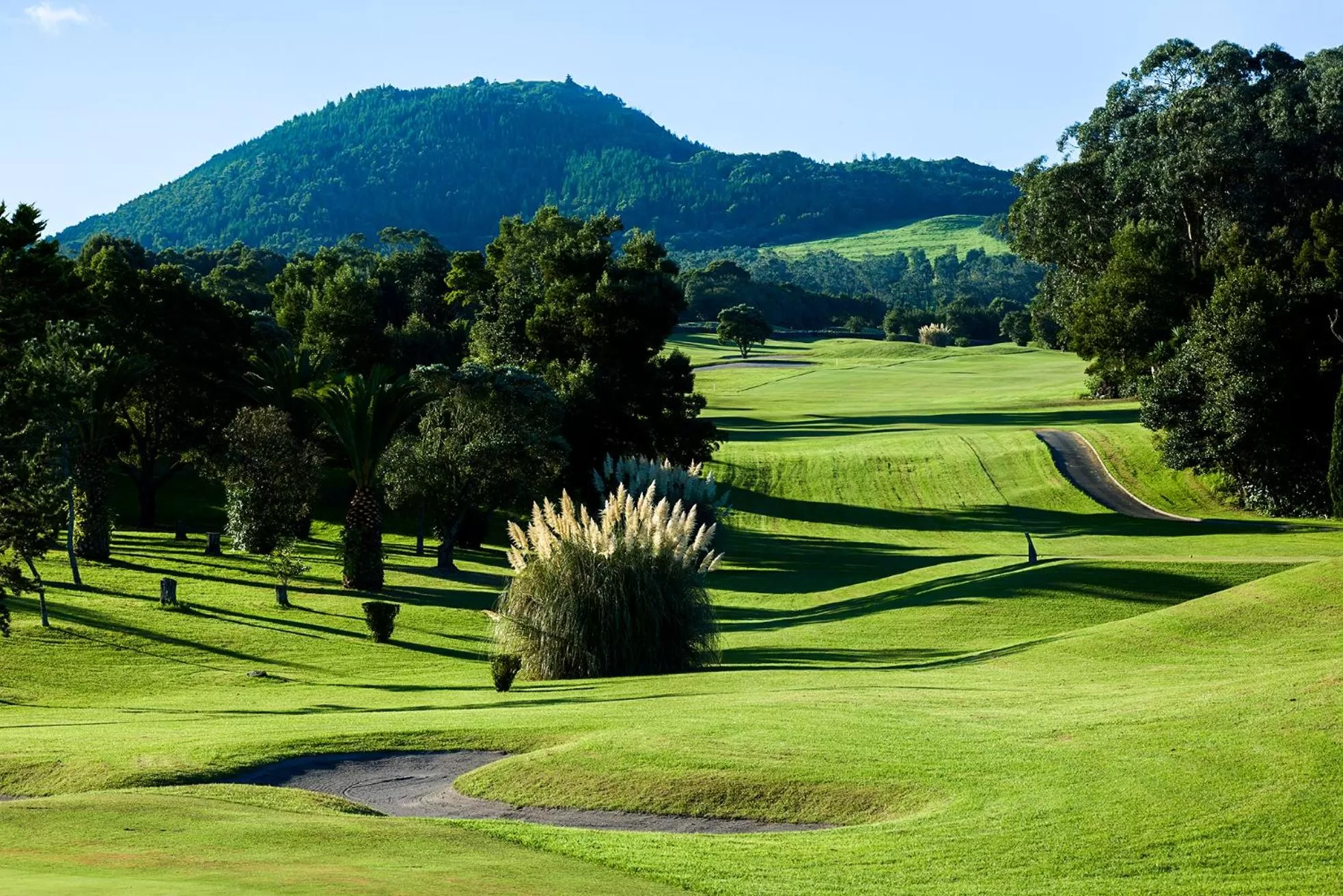 Garden in Octant Ponta Delgada