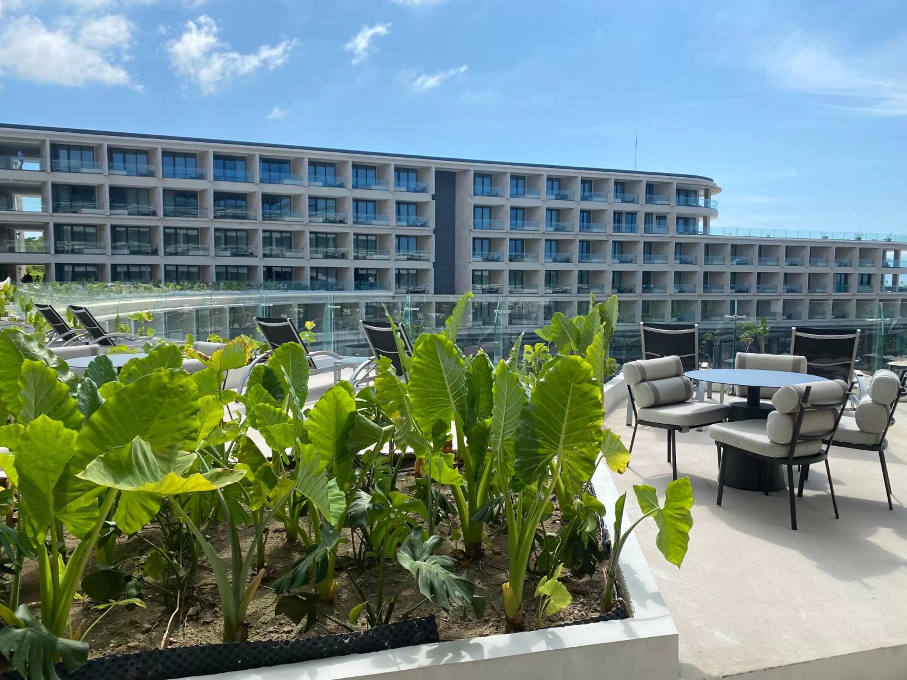 View (from property/room) in Secrets Bahia Mita Surf and Spa - All Inclusive - Adults Only