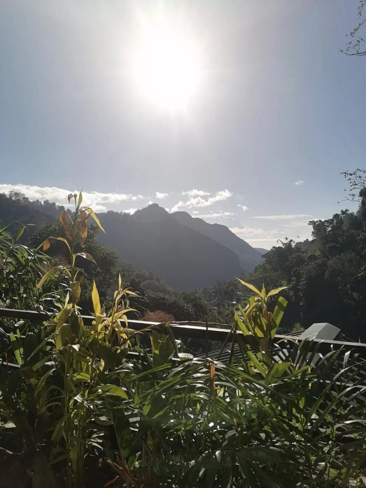 Mountain View in Ella Lucky Panoramic