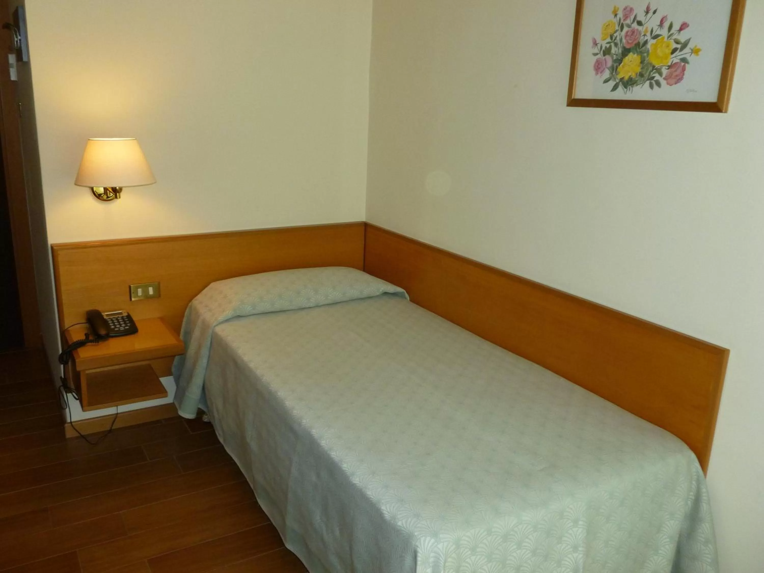 Shower, Bed in Hotel Plaza