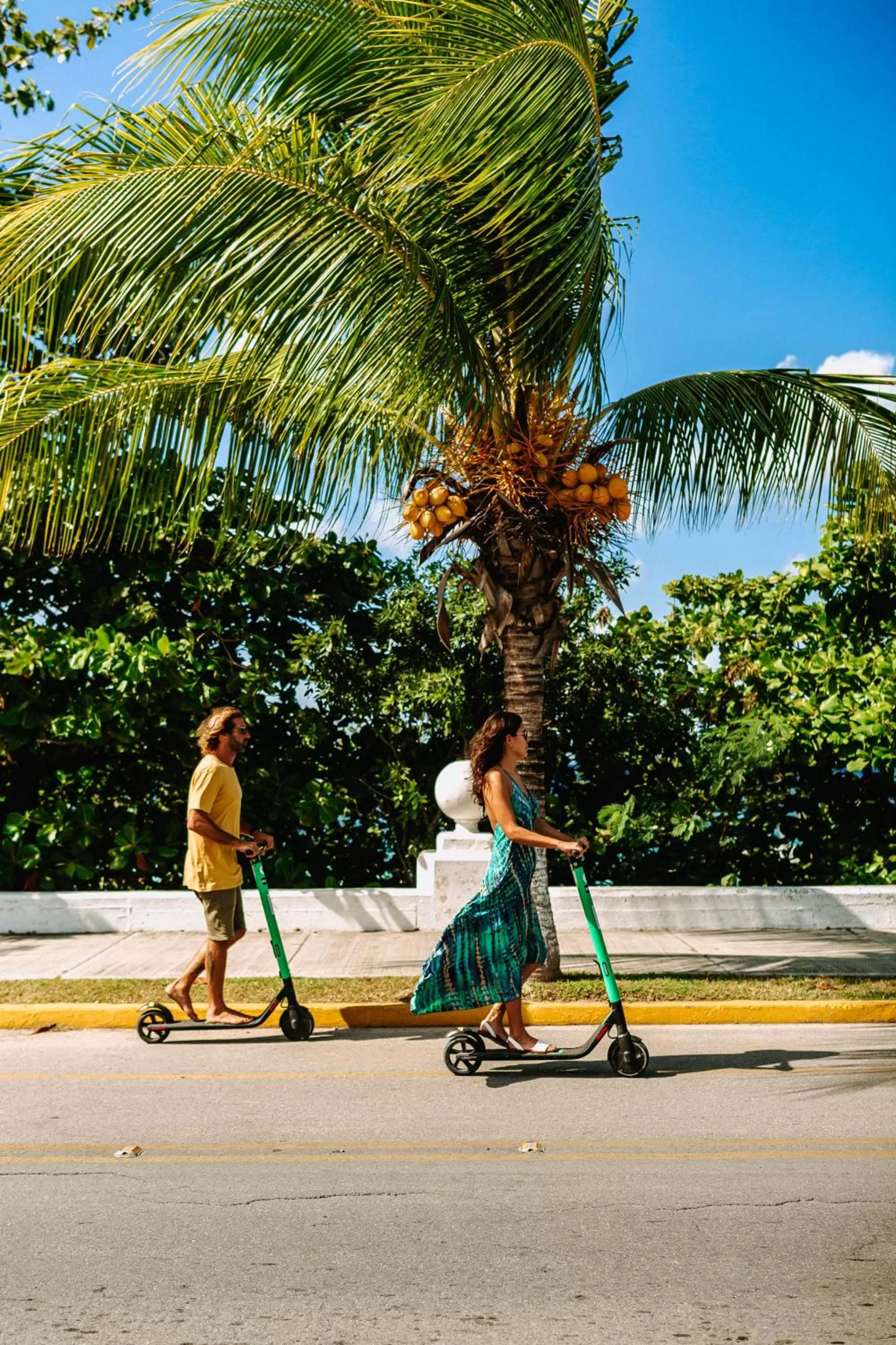 Street view in Albatros by Bedsfriends