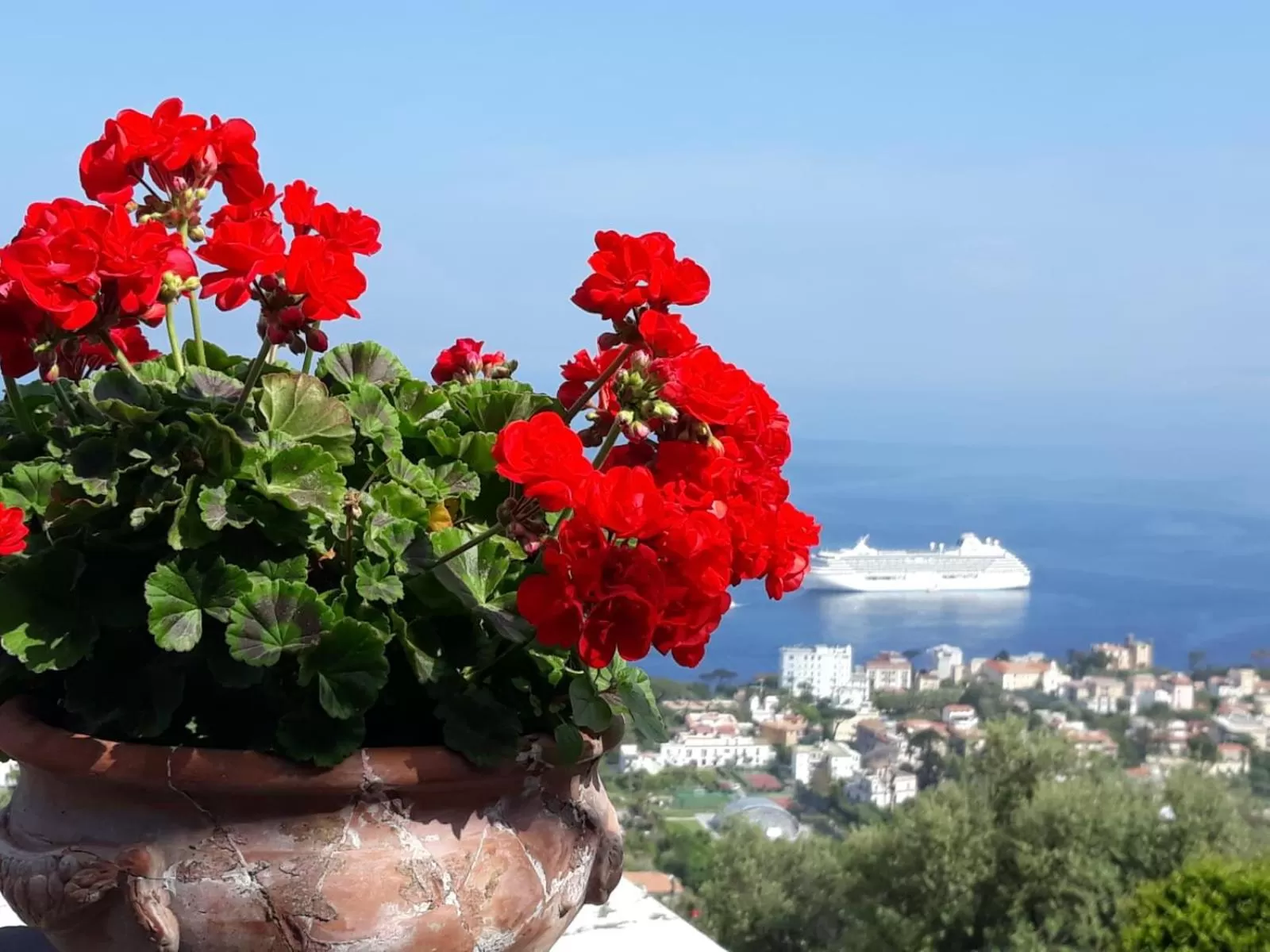 Natural landscape in Le Muse Suite