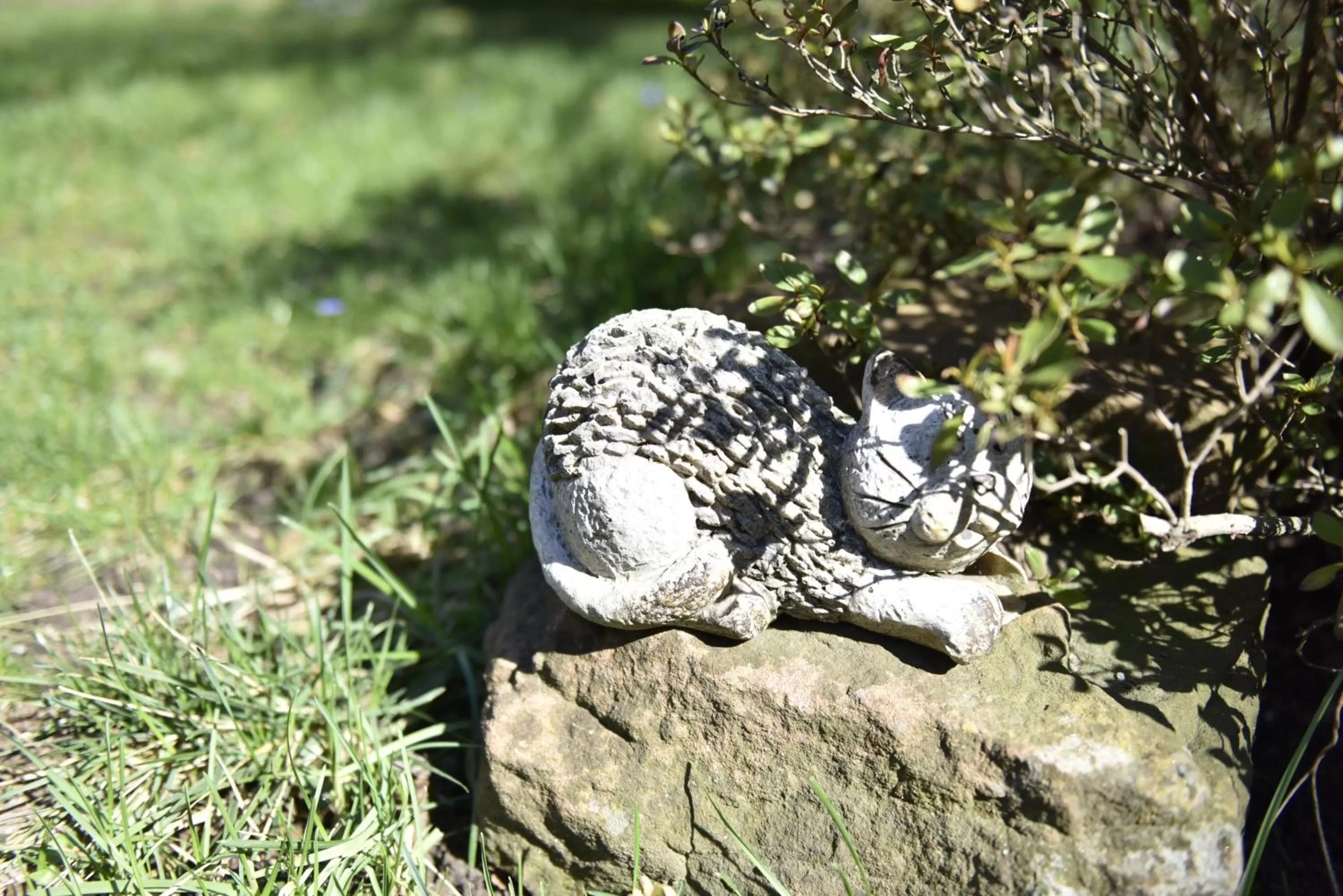 Other Animals in Maison d'hôtes Aux Deux Cigognes