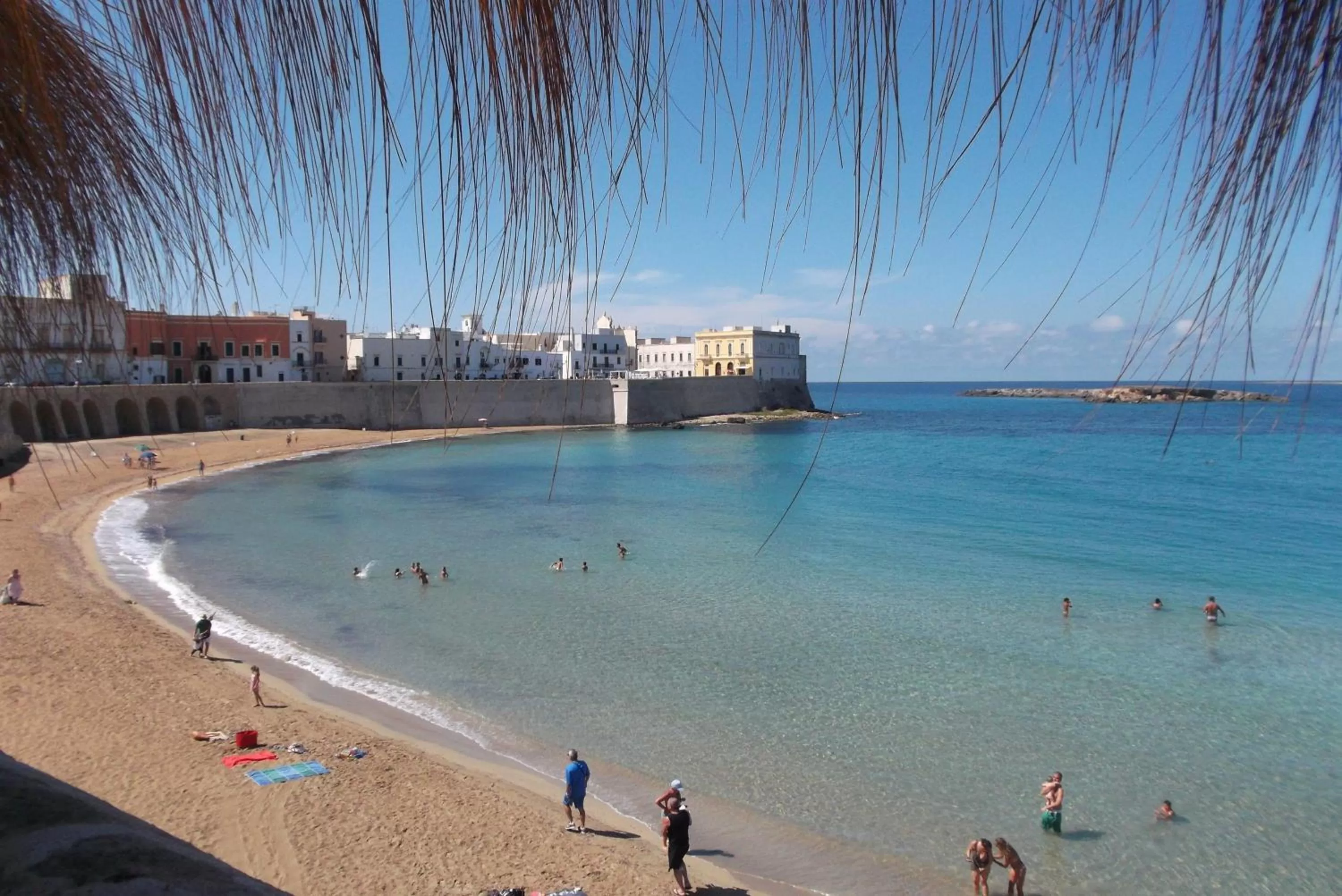 Horse-riding, Beach in Casa del Corso
