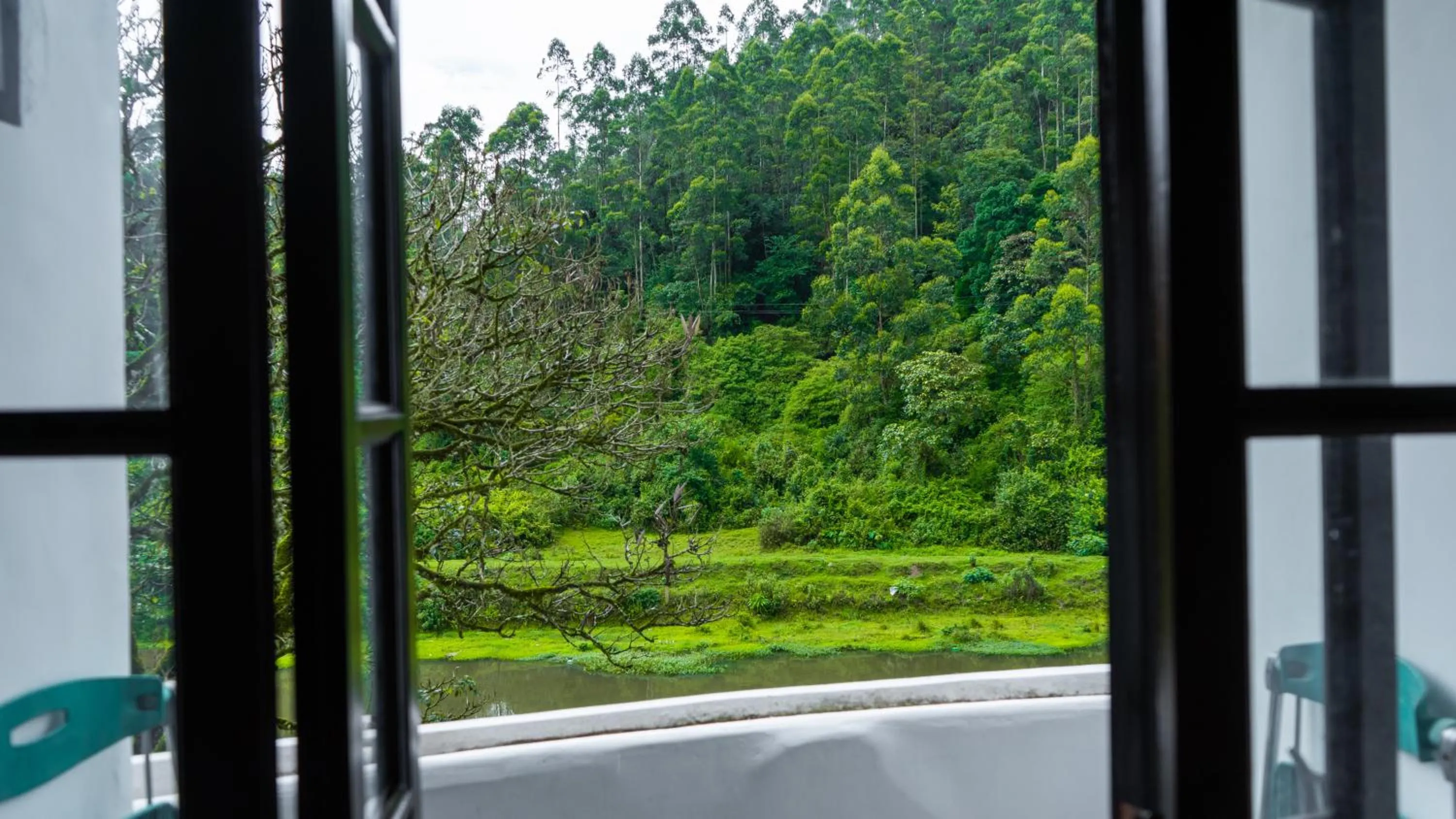 Day in Westwood Riverside