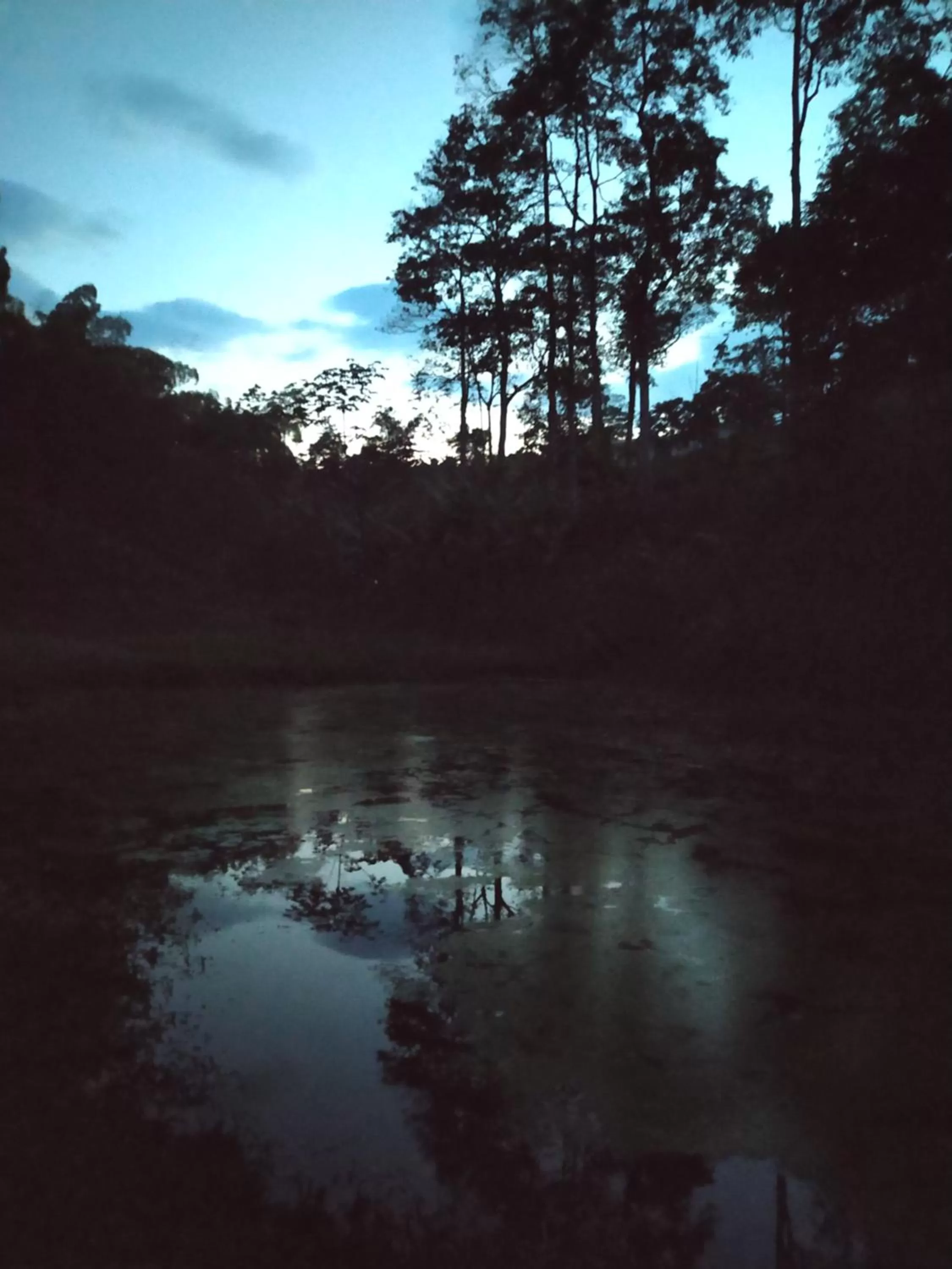 Villa Cristina - Casa Boutique