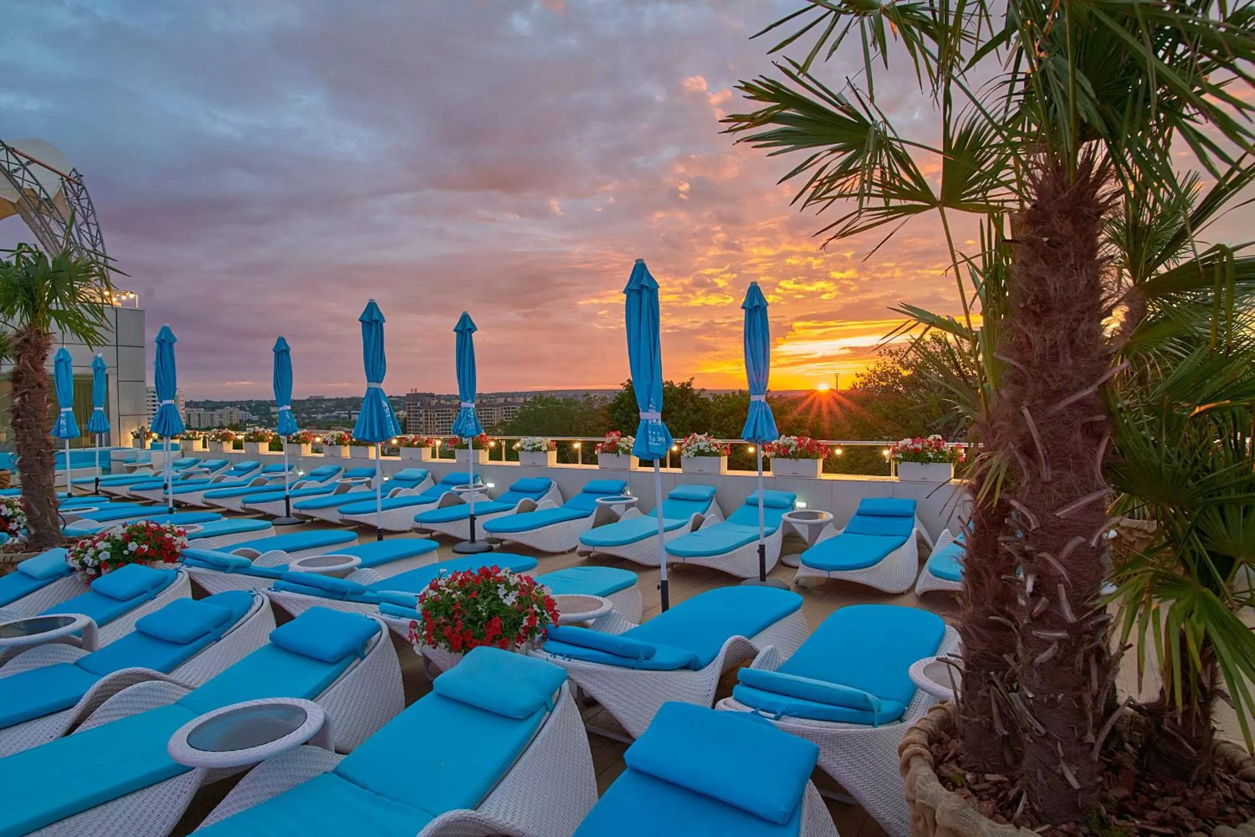 Area and facilities, Swimming Pool in Hotel & Spa NEMO with dolphins