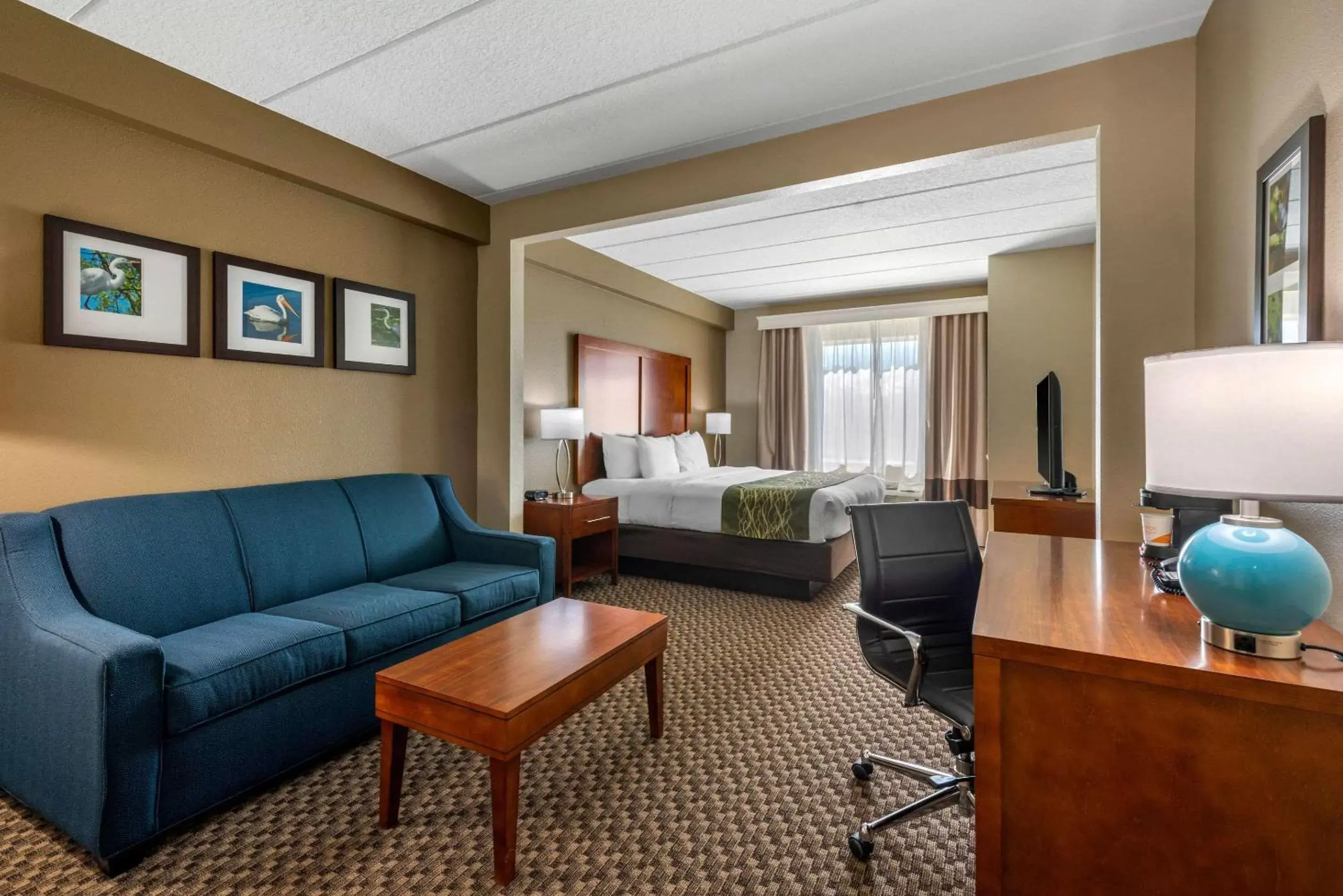 King Room - Accessible/Non-Smoking in Comfort Inn & Suites Wildwood – The Villages King Room - Accessible/Non-Smoking in Comfort Inn & Suites Wildwood – The Villages