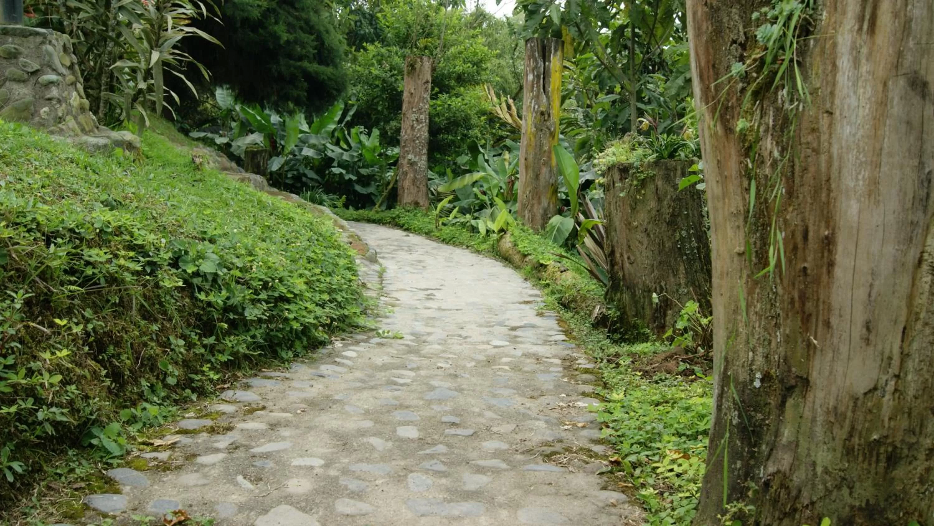 Hiking in Matisses Hotel & Spa