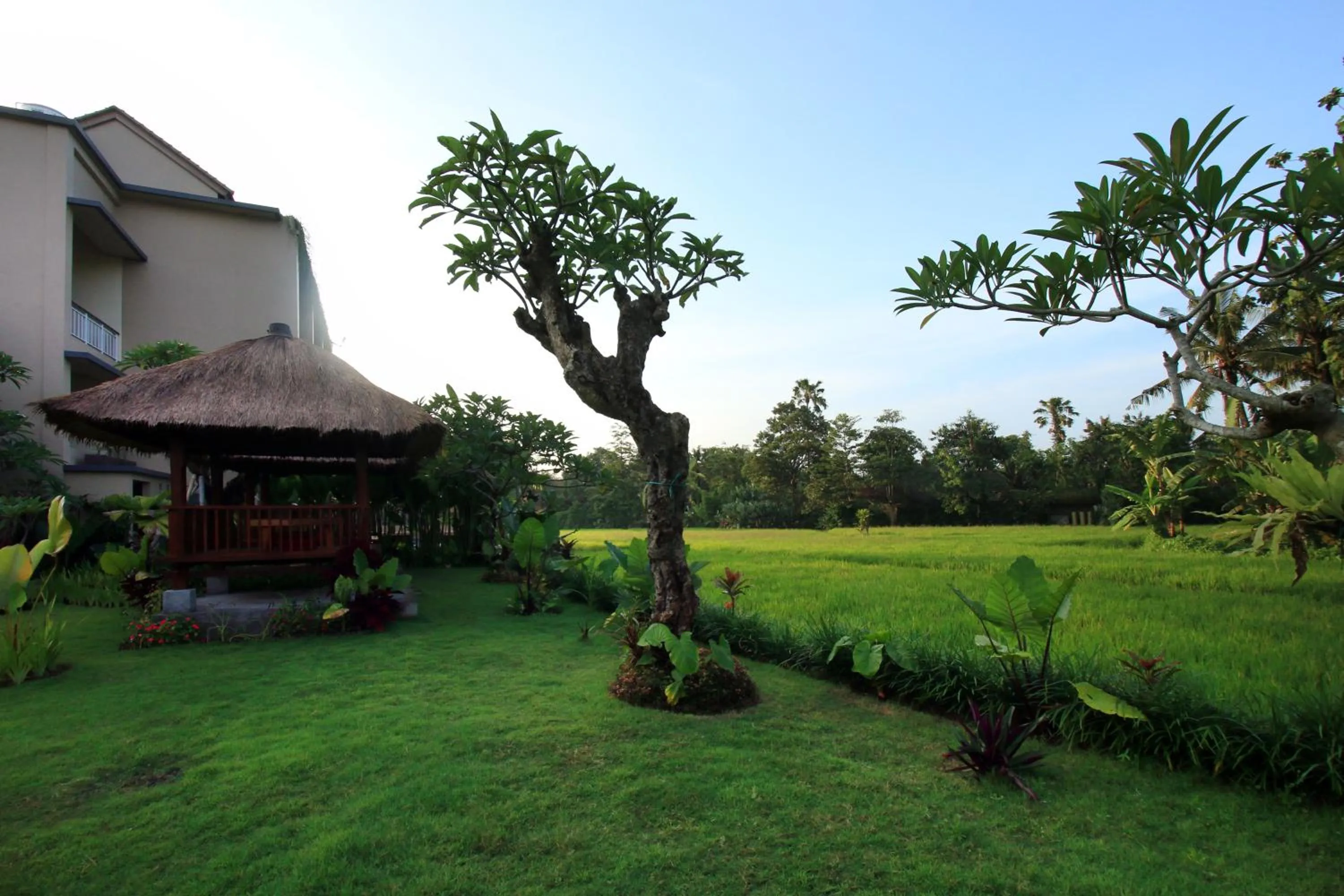 Garden view in Byasa Ubud
