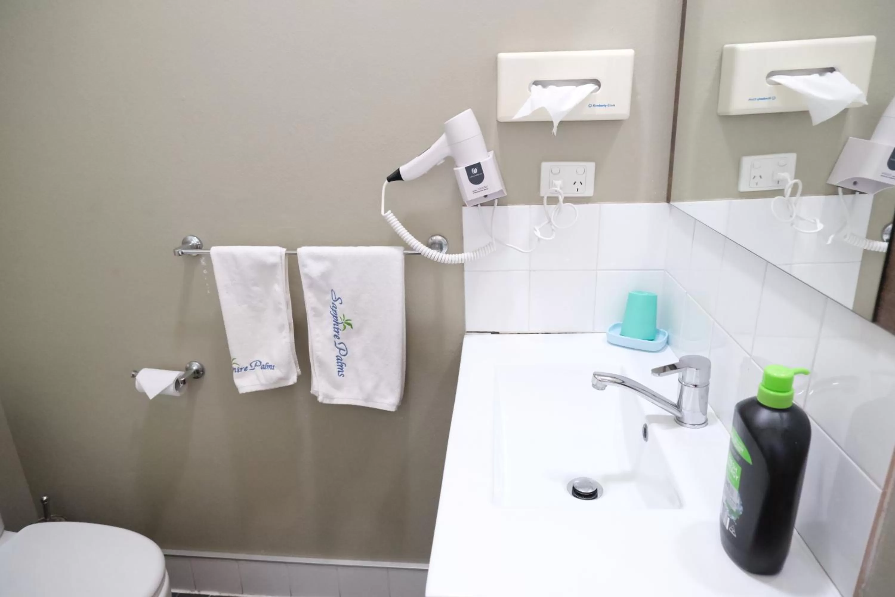 Shower in Sapphire Palms Motel