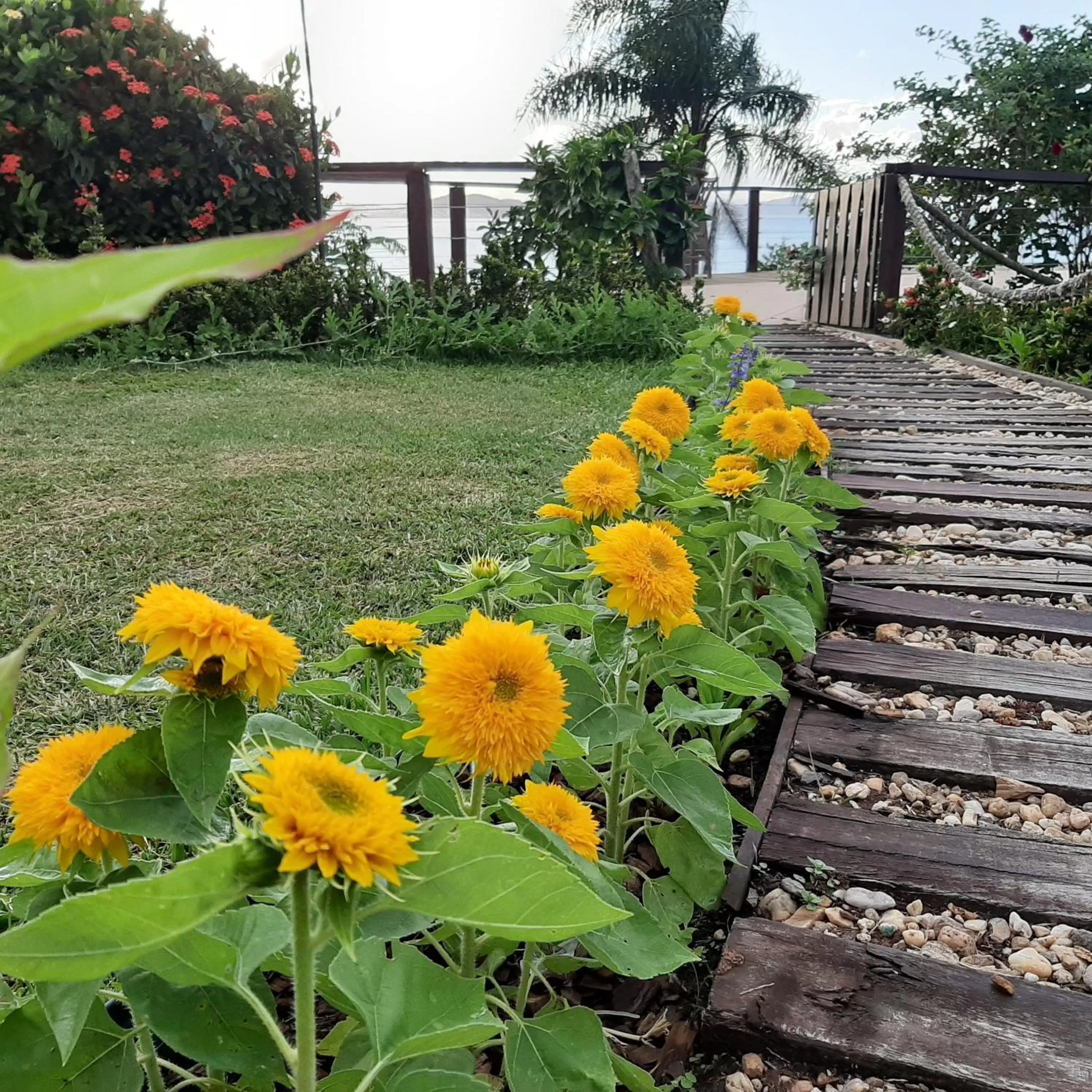 Garden in Pousada Vila de Monaco