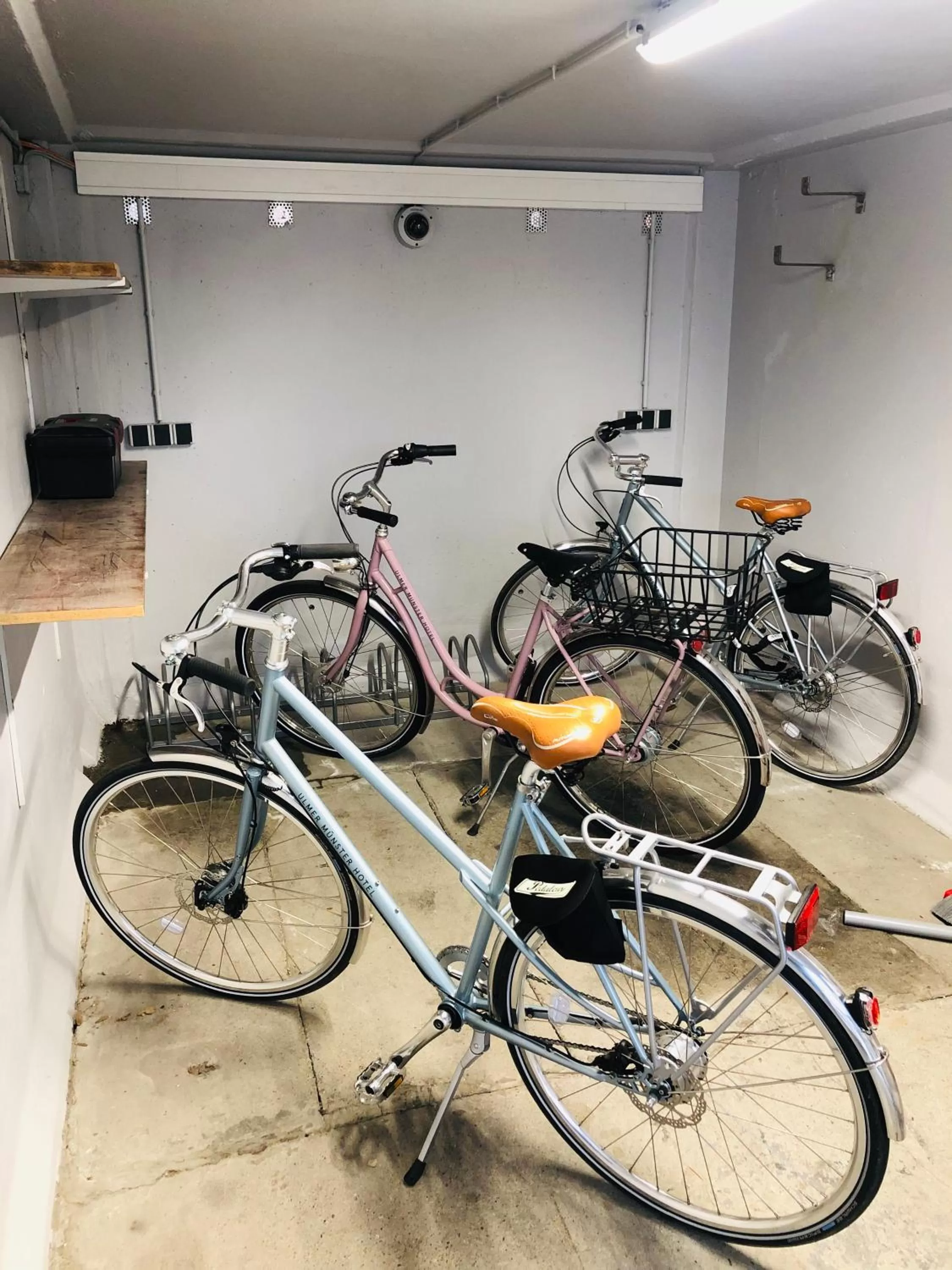 Other, Biking in Ulmer Münster Hotel