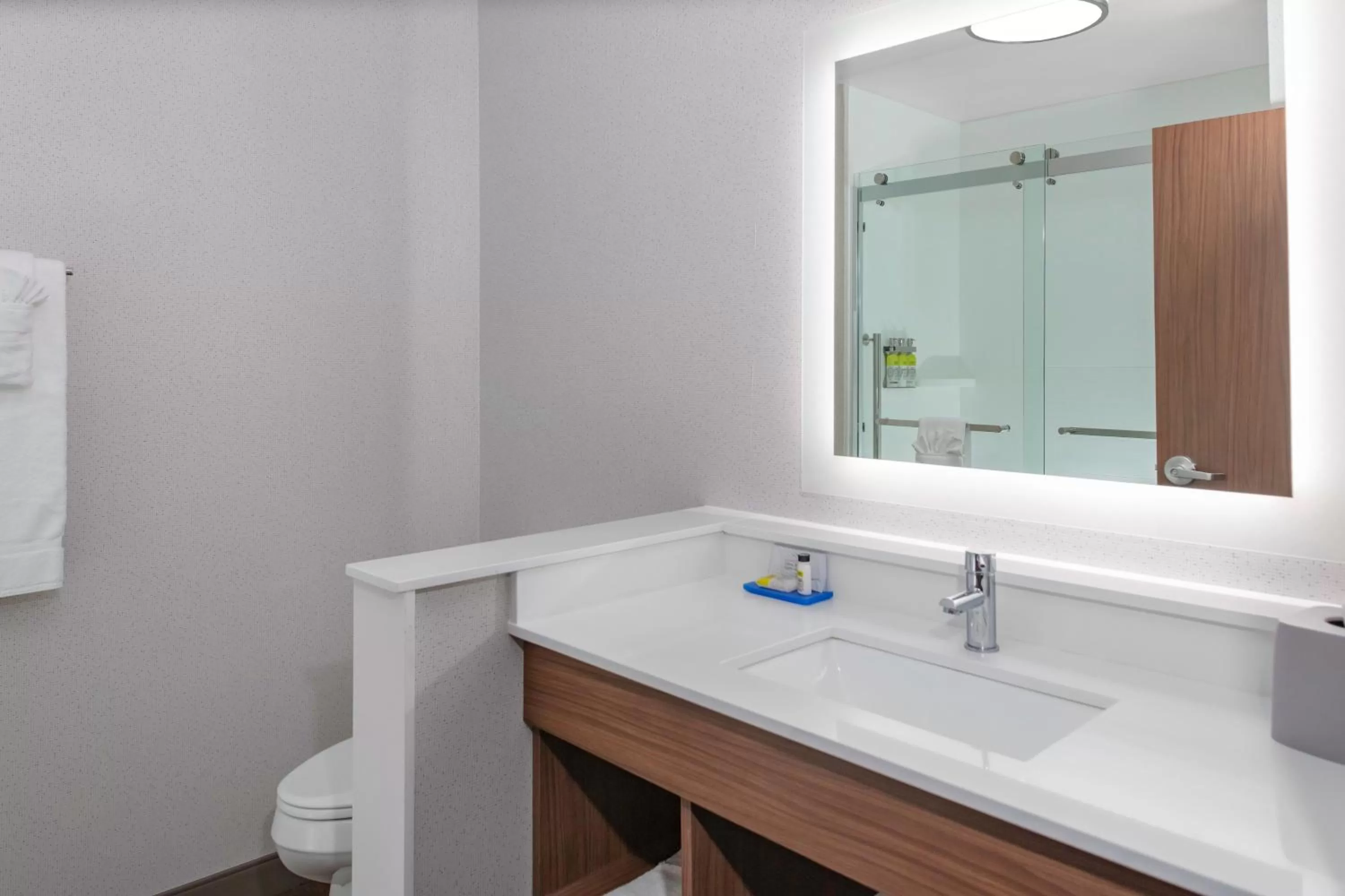 Bathroom in Holiday Inn Express & Suites - The Dalles by IHG