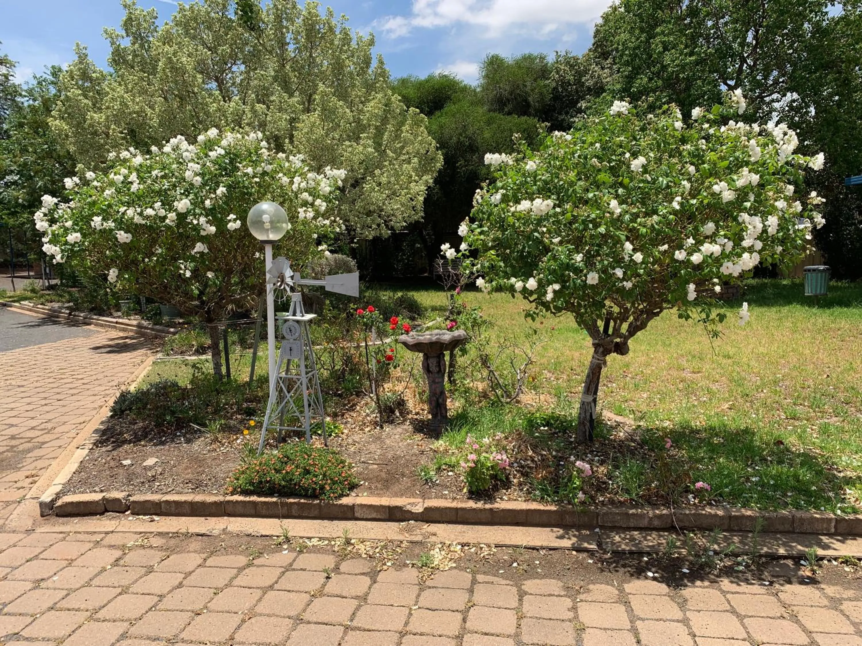 Garden in Orana Windmill Motel