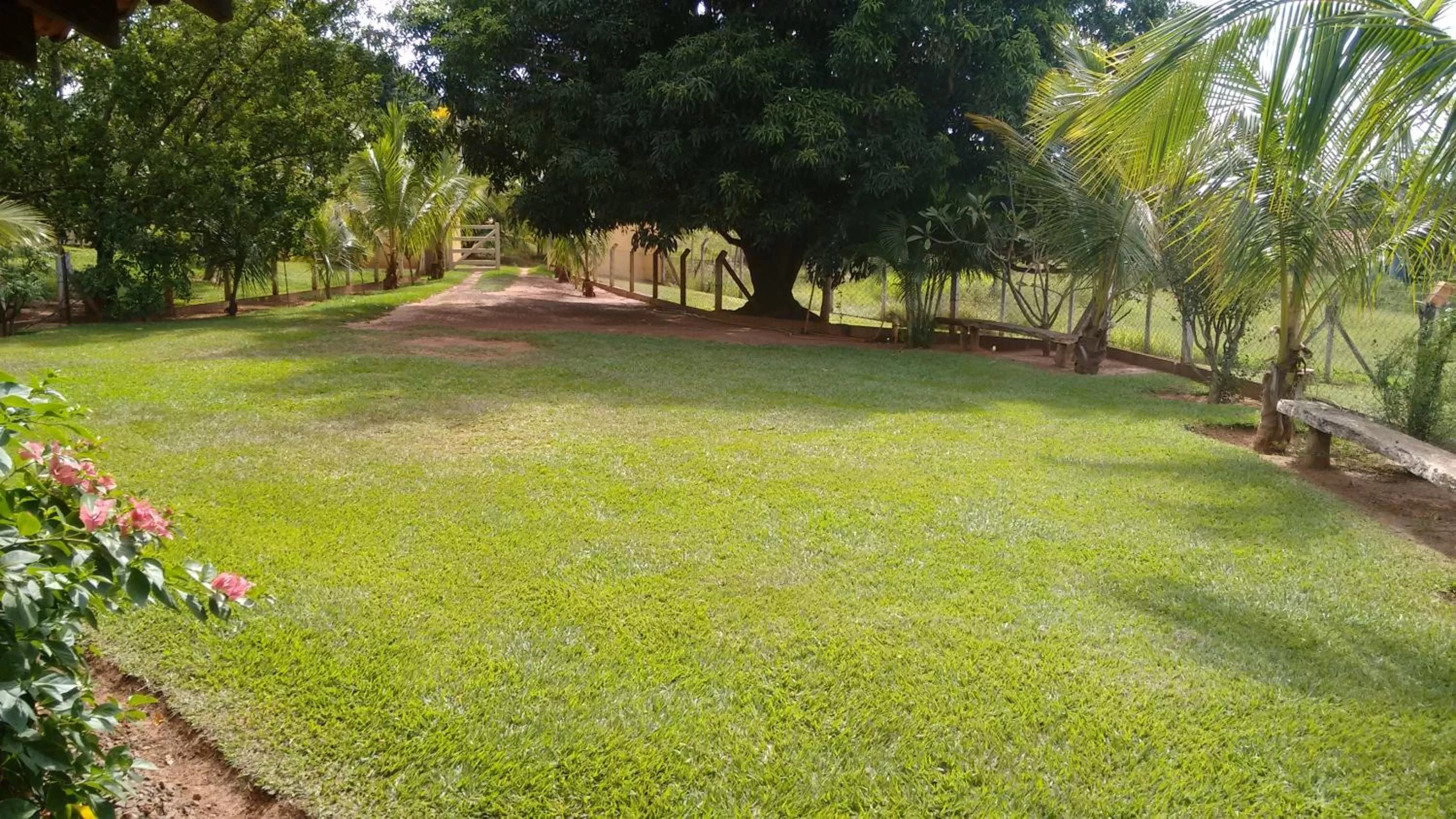 Garden in Pousada Sorocabana