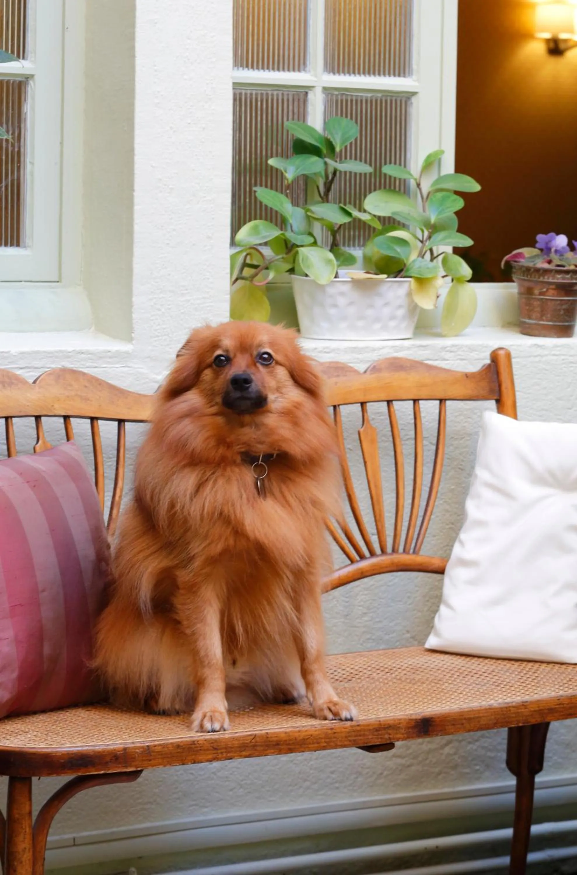 Hostellerie des Trois Pigeons, Paray-le-Monial