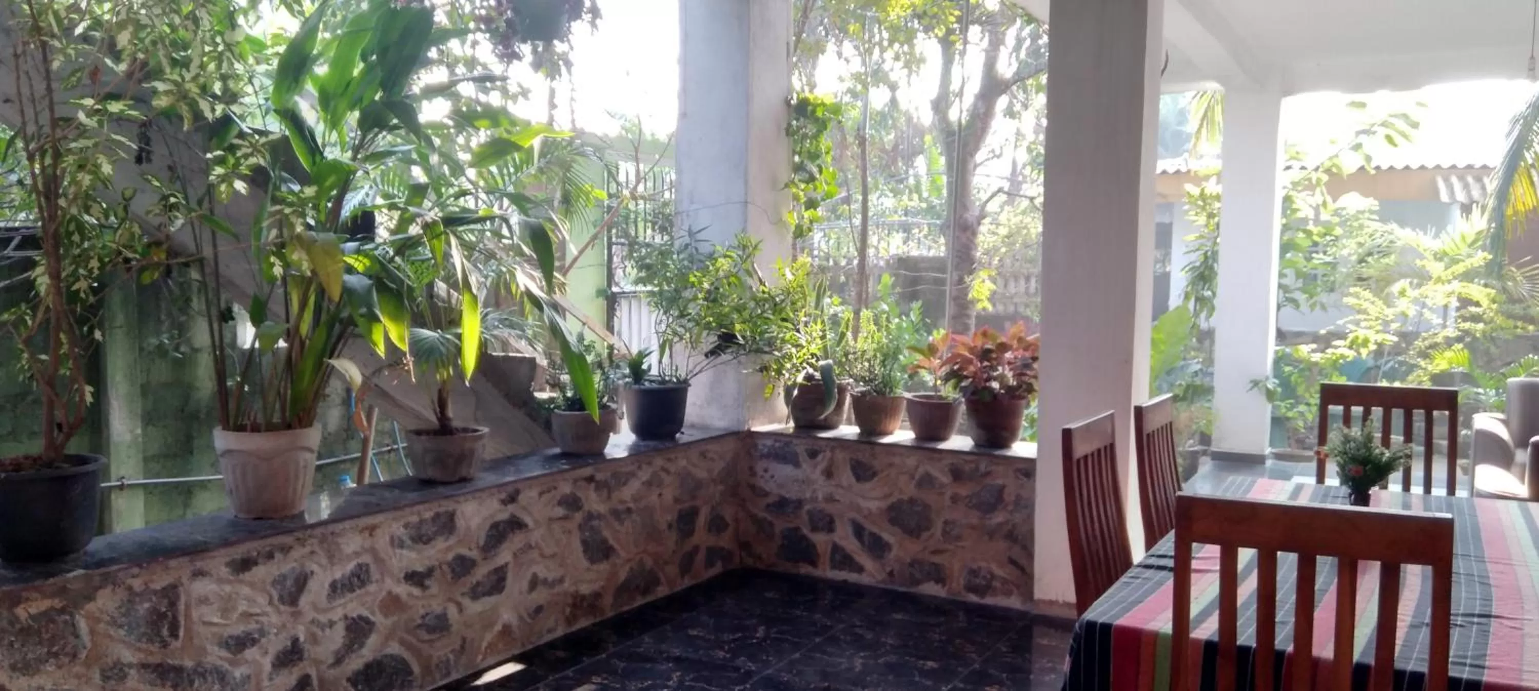 Garden view in House Of Esanya