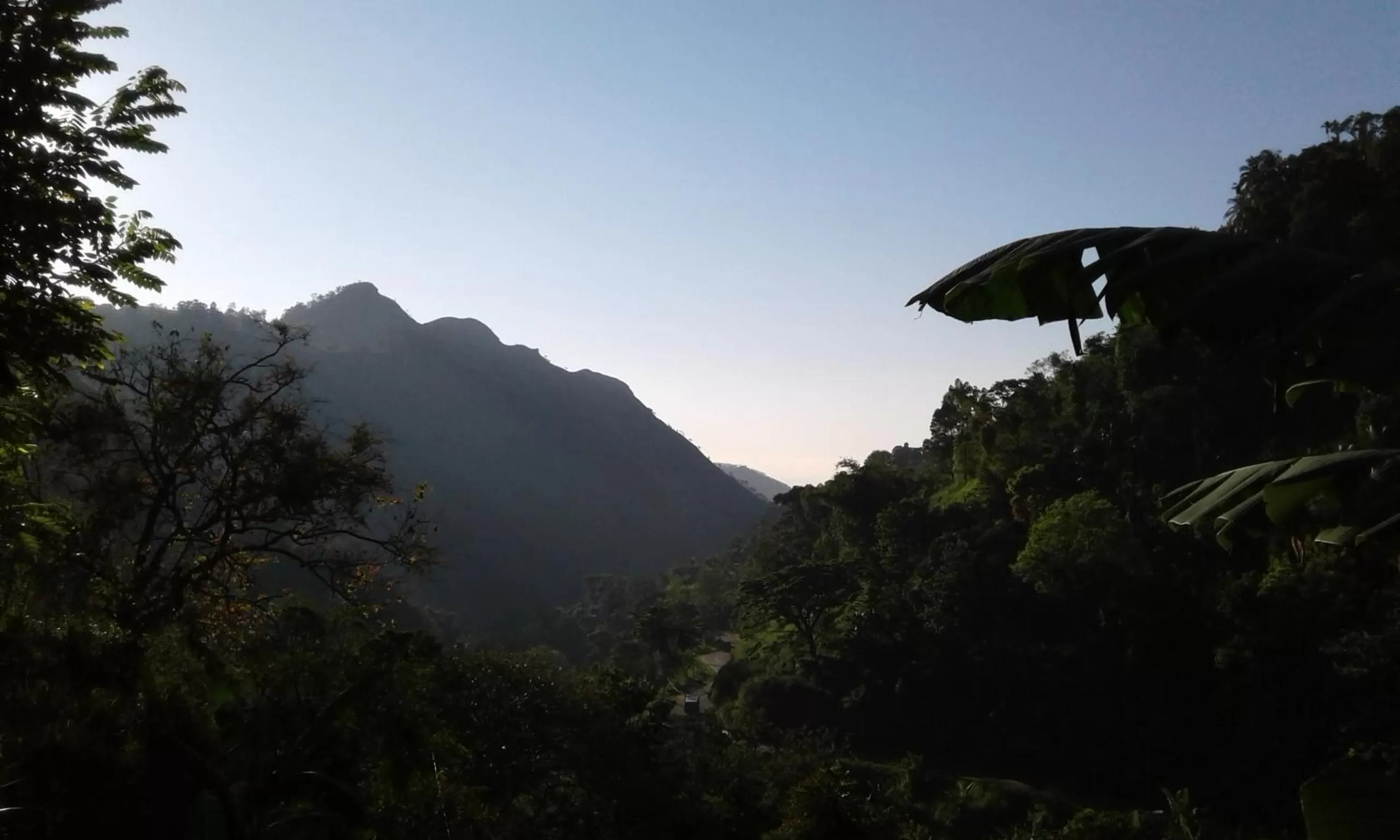 Ella Lucky Panoramic