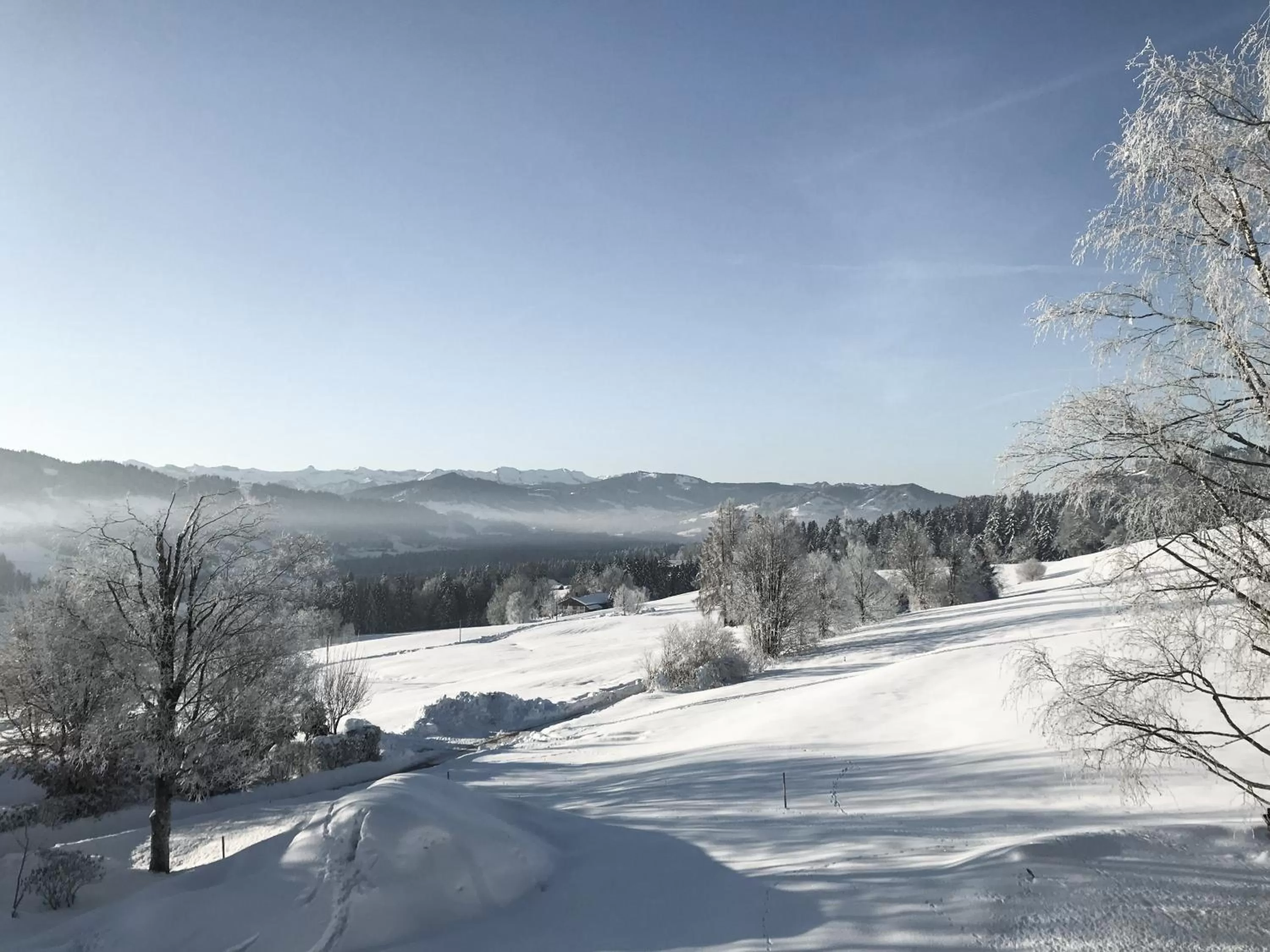 Day, Winter in Alpenloge Hotel