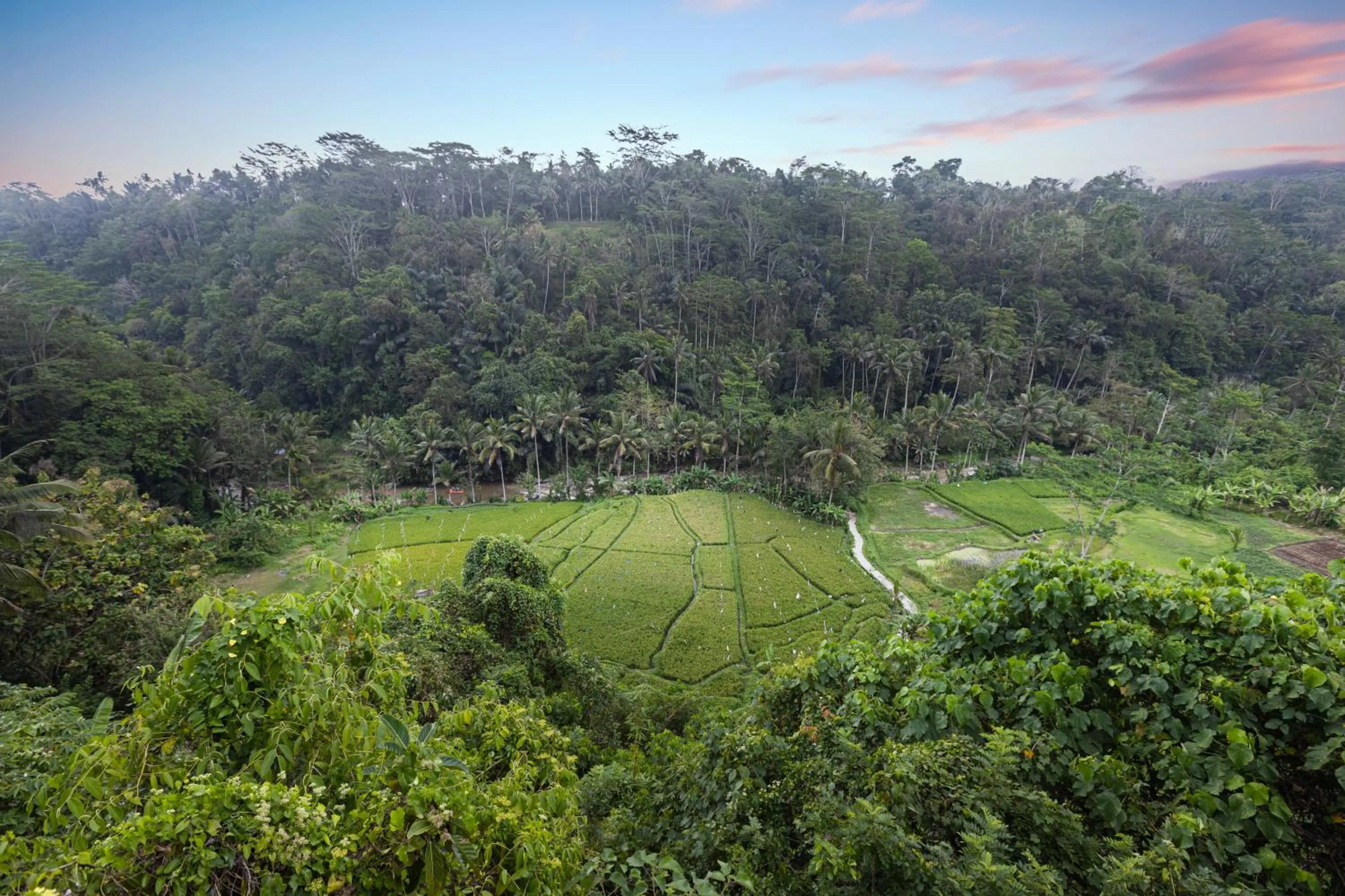 Natural landscape in Black Penny Villas Ubud