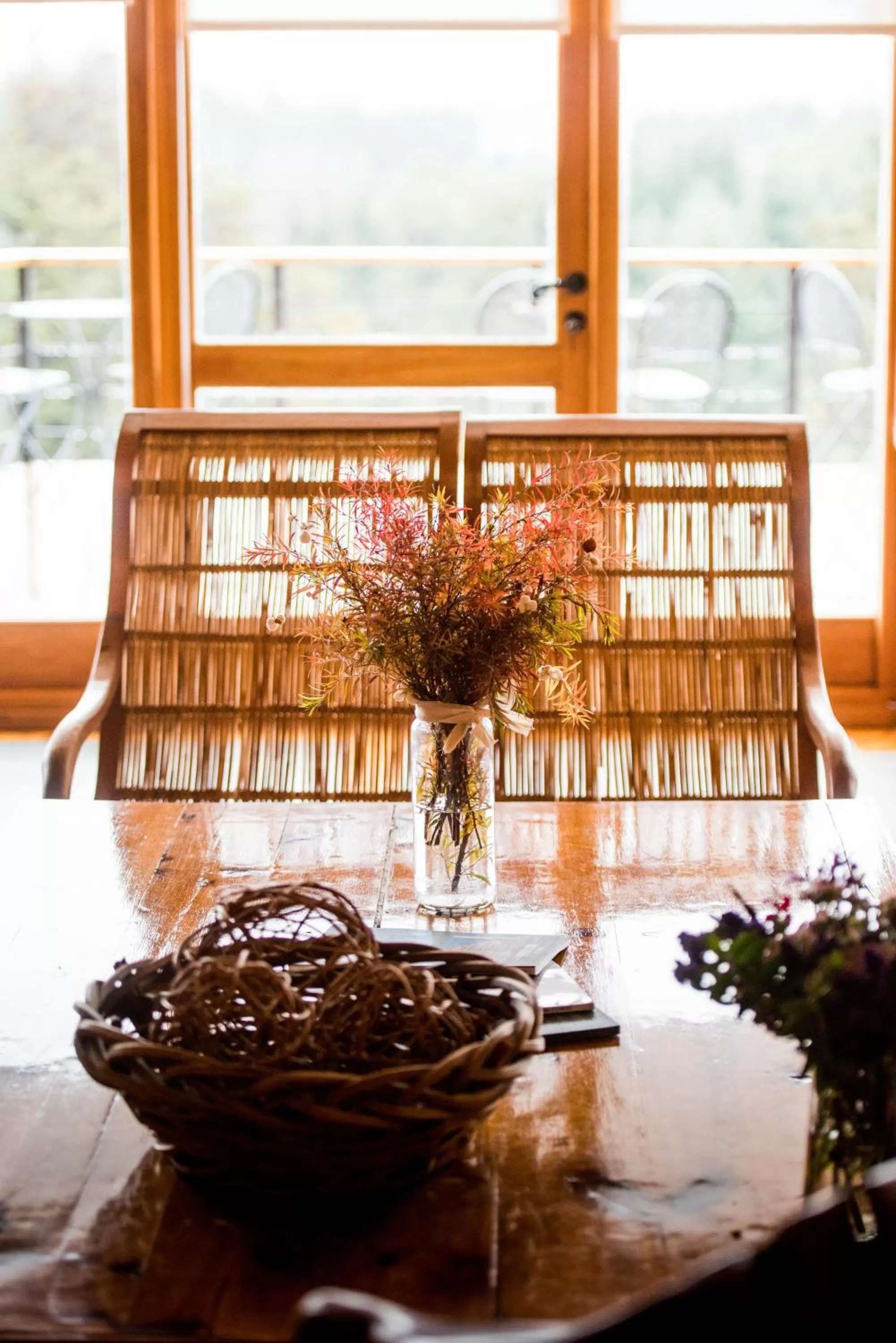 Balcony/Terrace in Amigos del Bosque