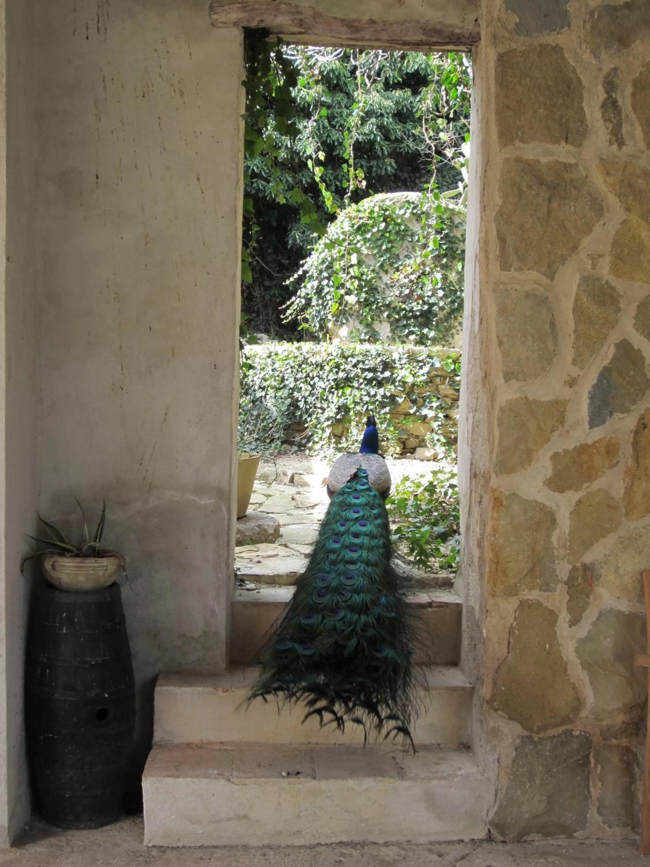 Facade/entrance in Candalù - Villa Giardinata