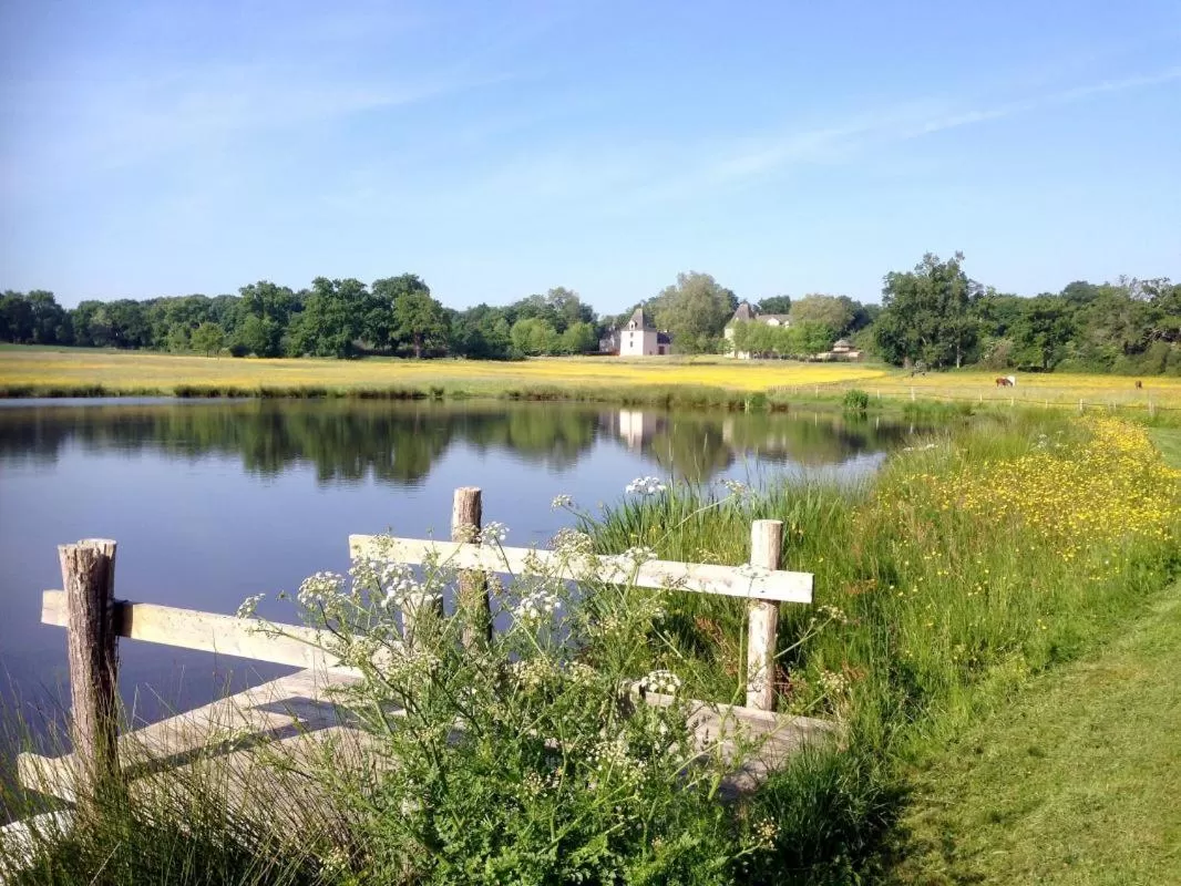 Natural landscape in Château du Golf de la Freslonnière