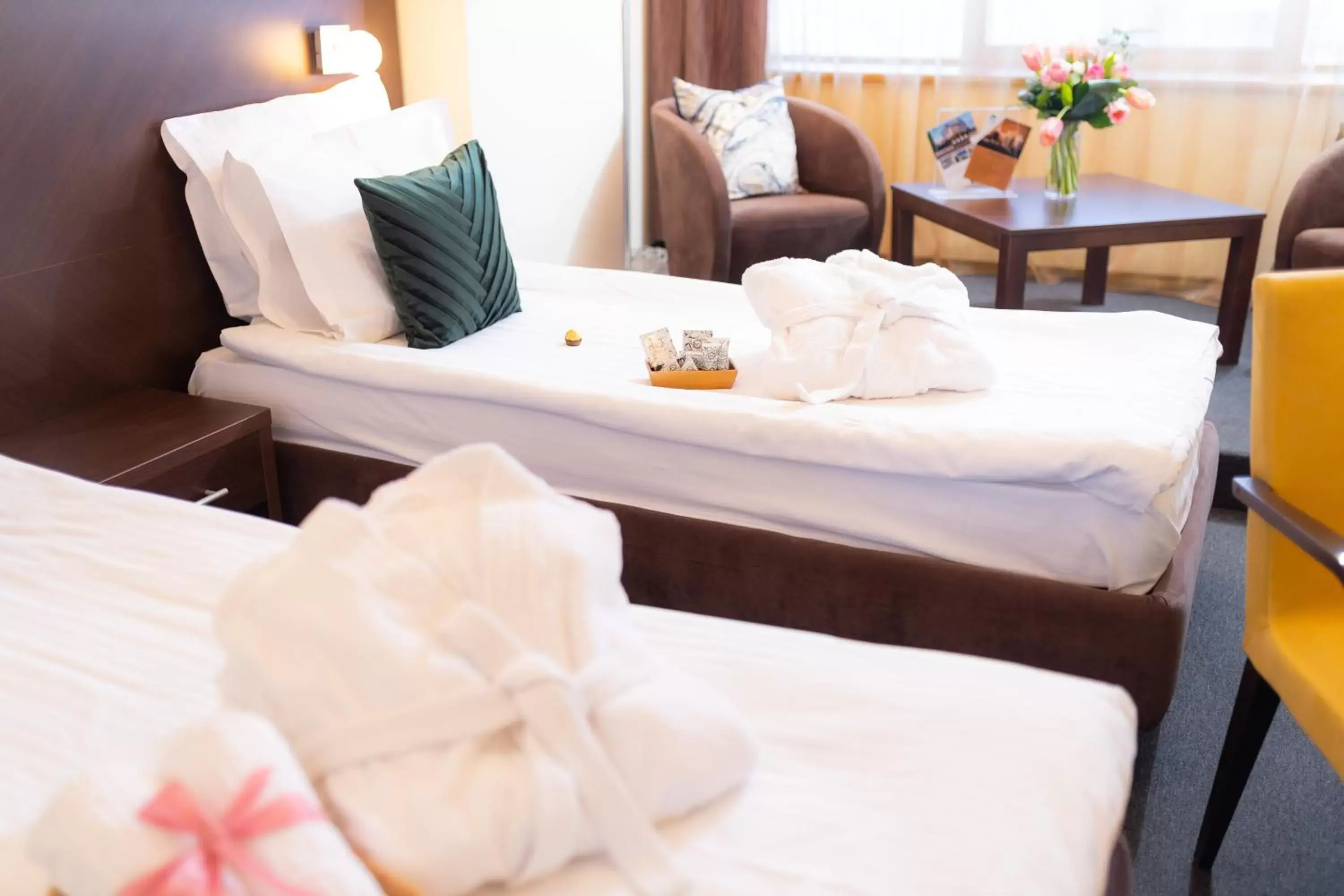 Deluxe Twin Room in Hotel Terra Balneo Deluxe Twin Room in Hotel Terra Balneo